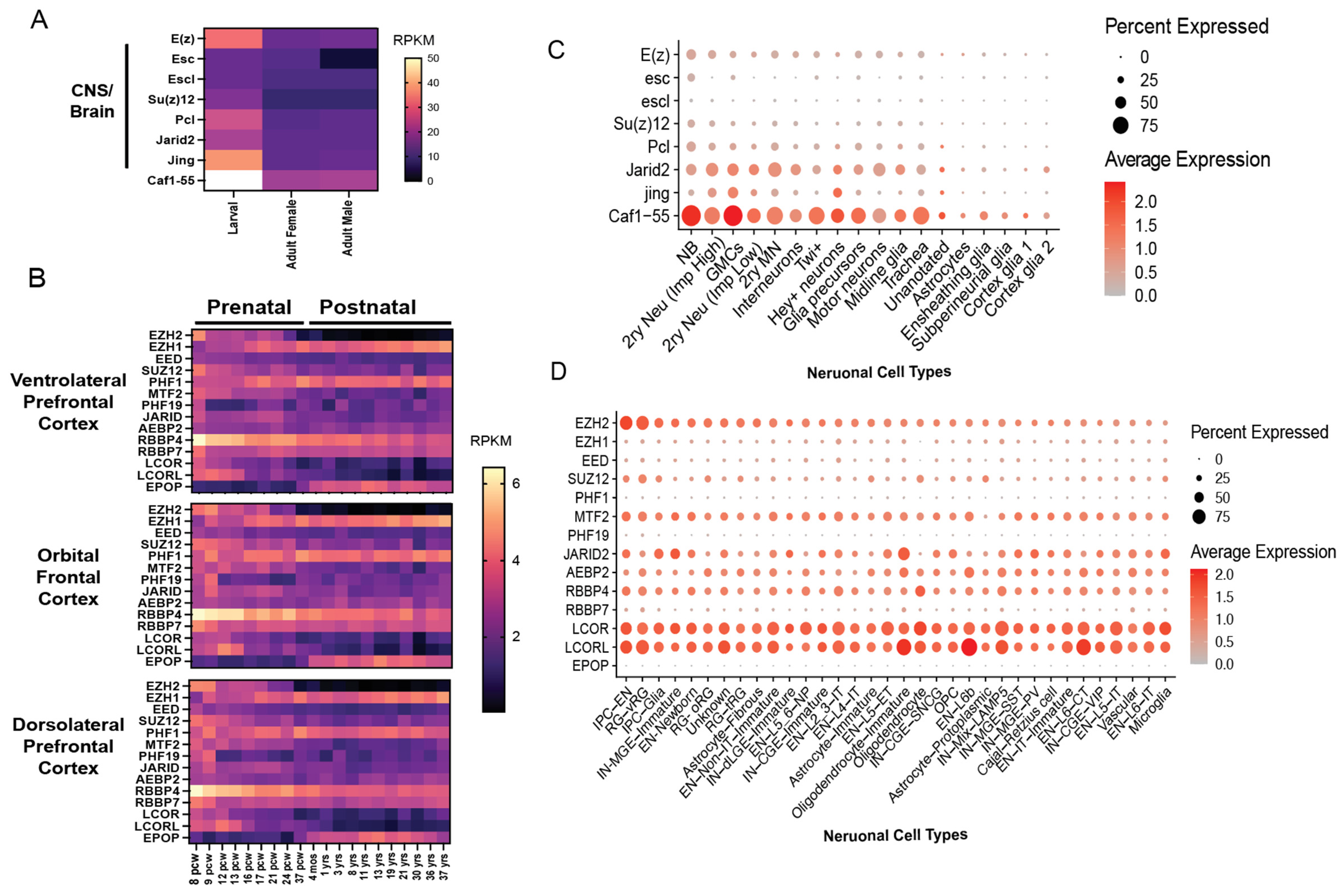Genes 16 01191 g002 Genes 16 01191 g002