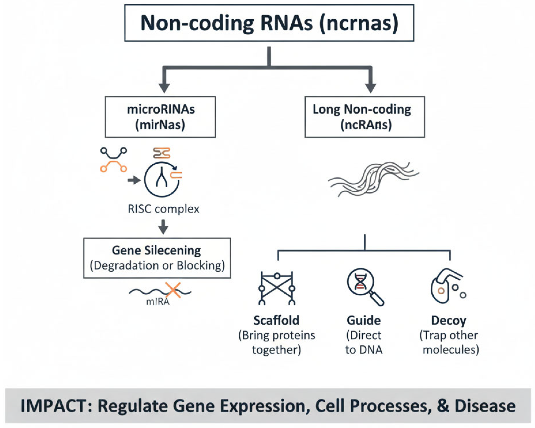 Genes 16 01194 g001
