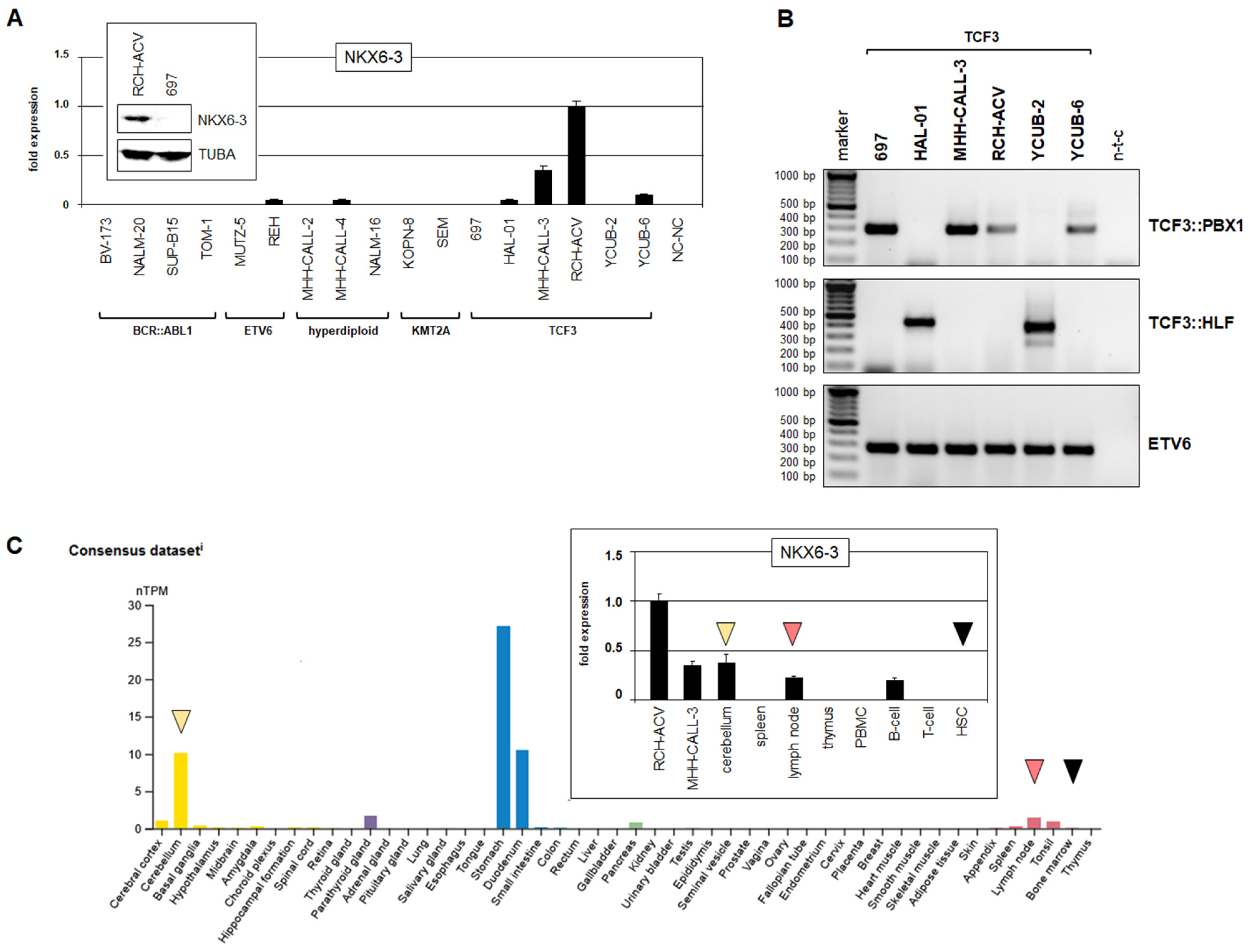 Genes 16 01199 g001 Genes 16 01199 g001