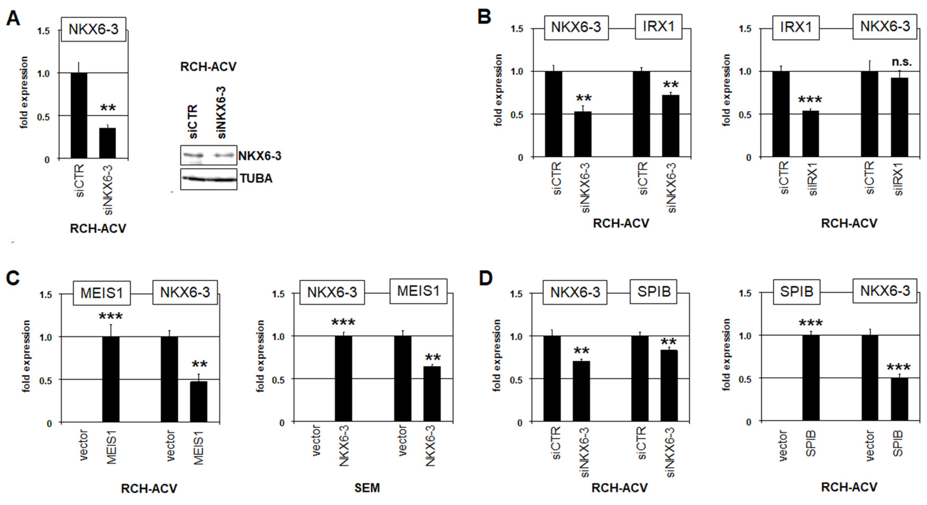 Genes 16 01199 g002 Genes 16 01199 g002