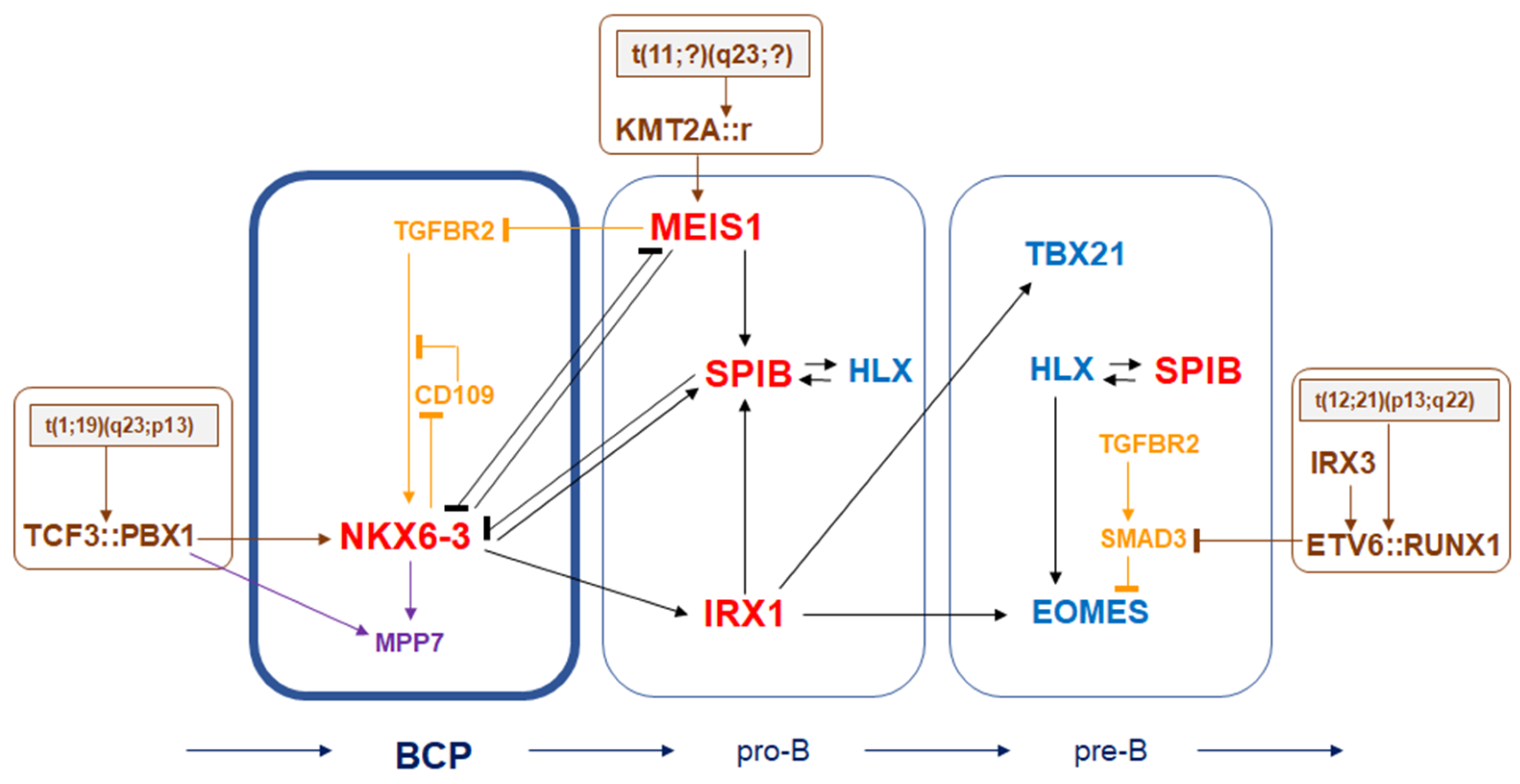 Genes 16 01199 g007 Genes 16 01199 g007