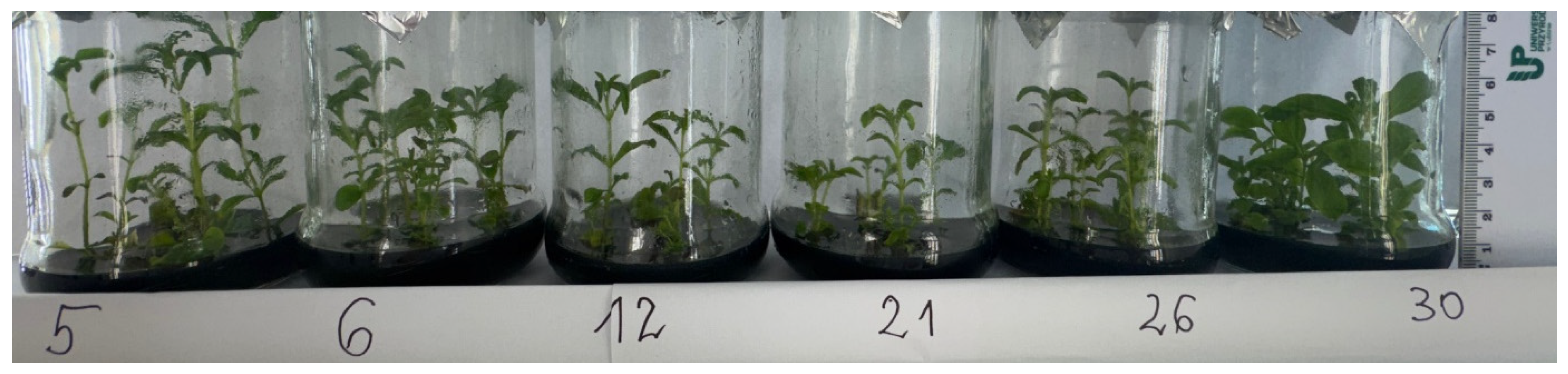 Genes 16 01203 g001 Genes 16 01203 g001