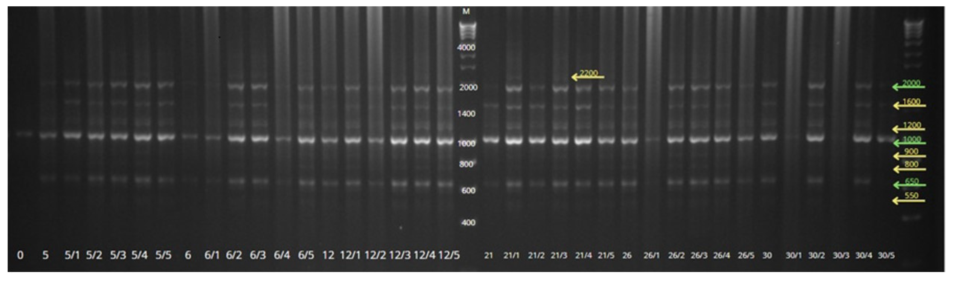Genes 16 01203 g004 Genes 16 01203 g004
