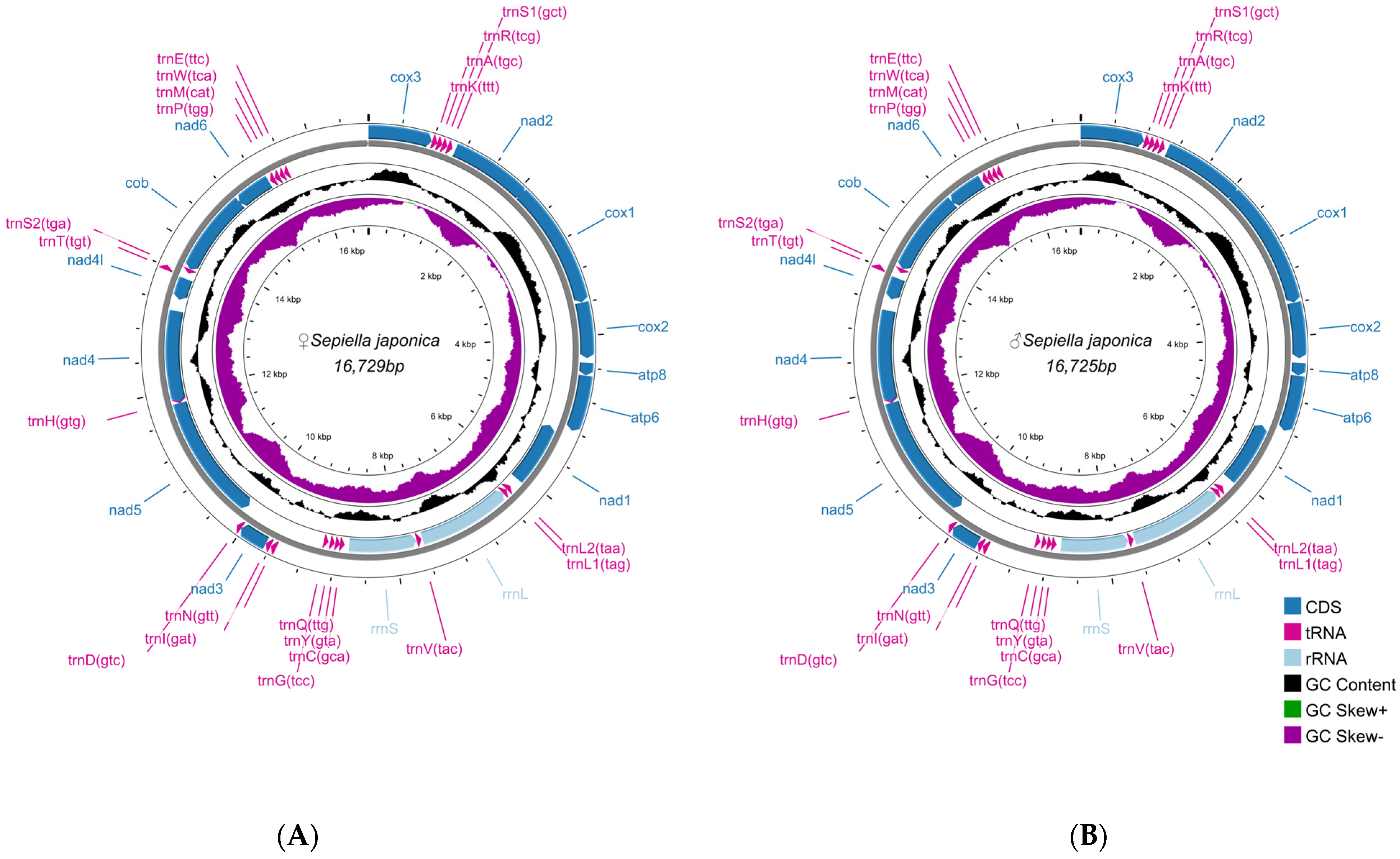 Genes 16 01215 g005