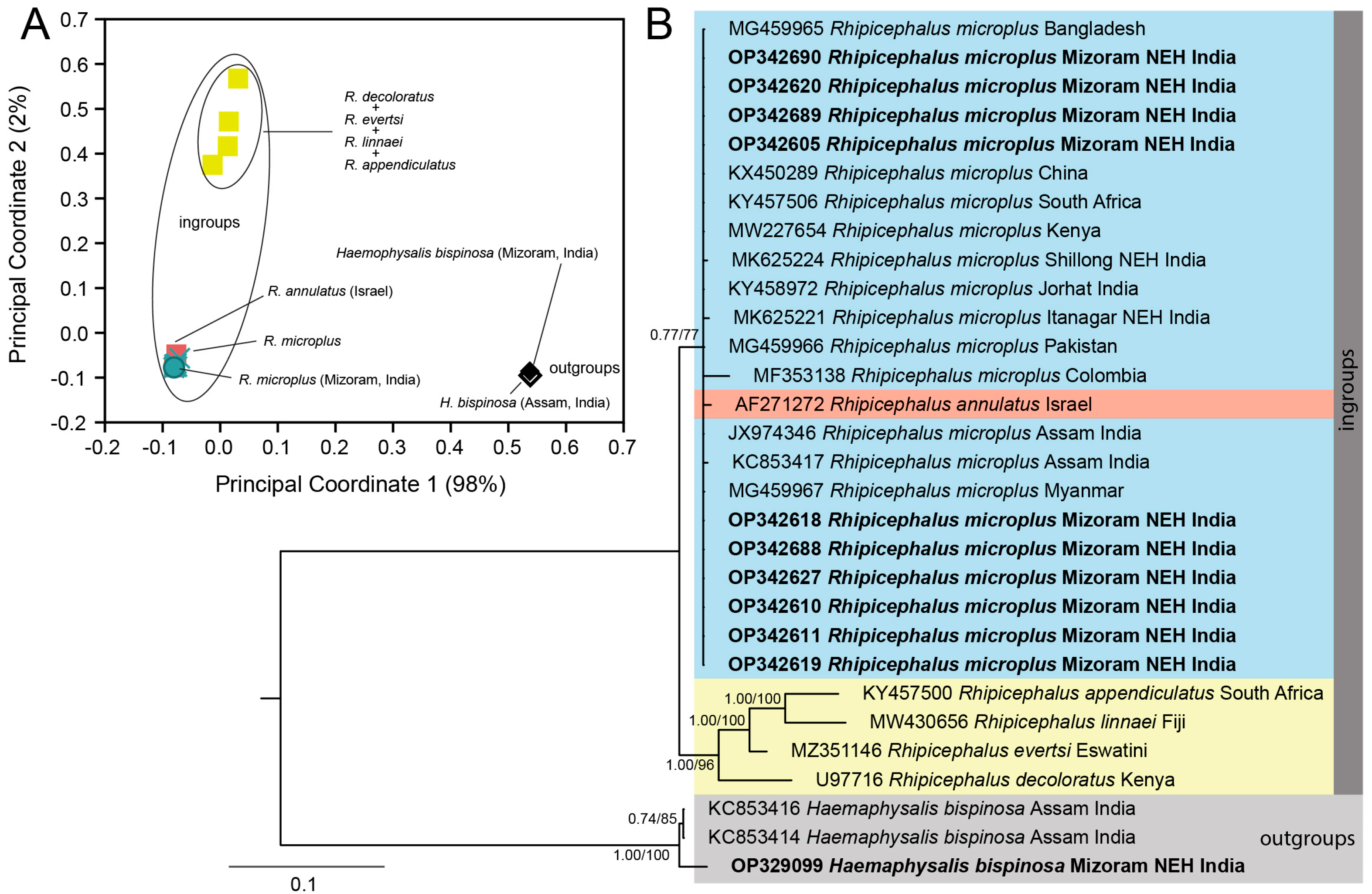 Genes 16 01216 g004