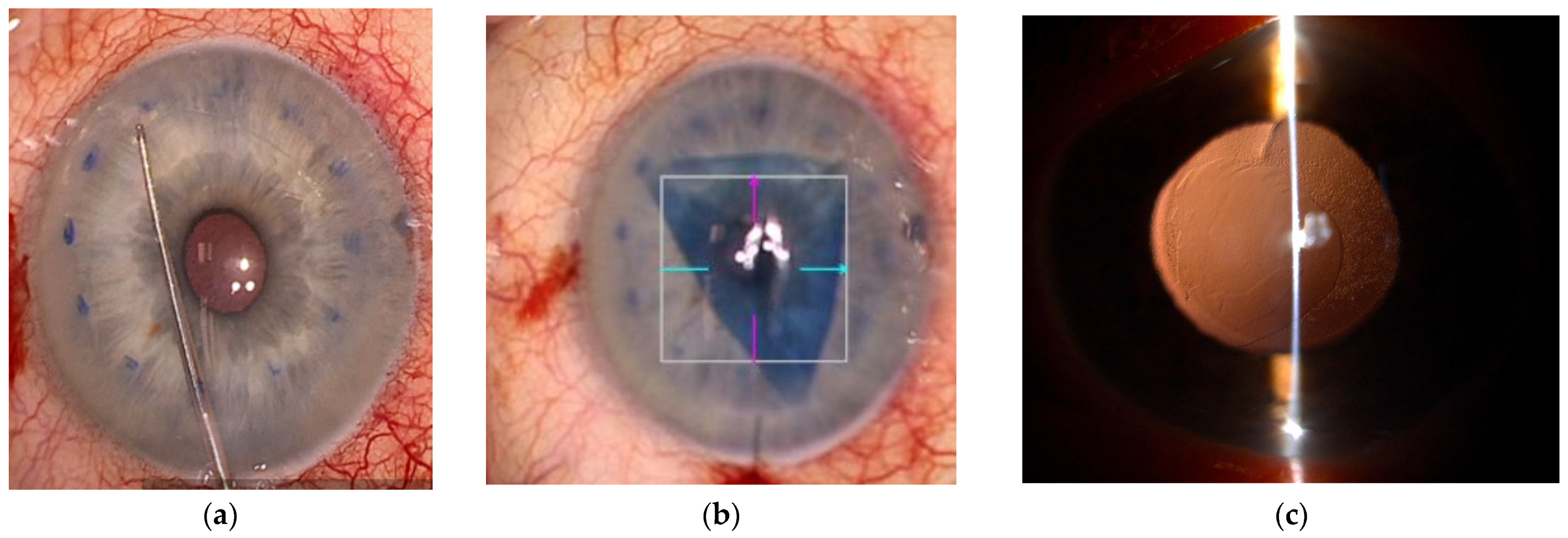 Genes 16 01222 g002 Genes 16 01222 g002