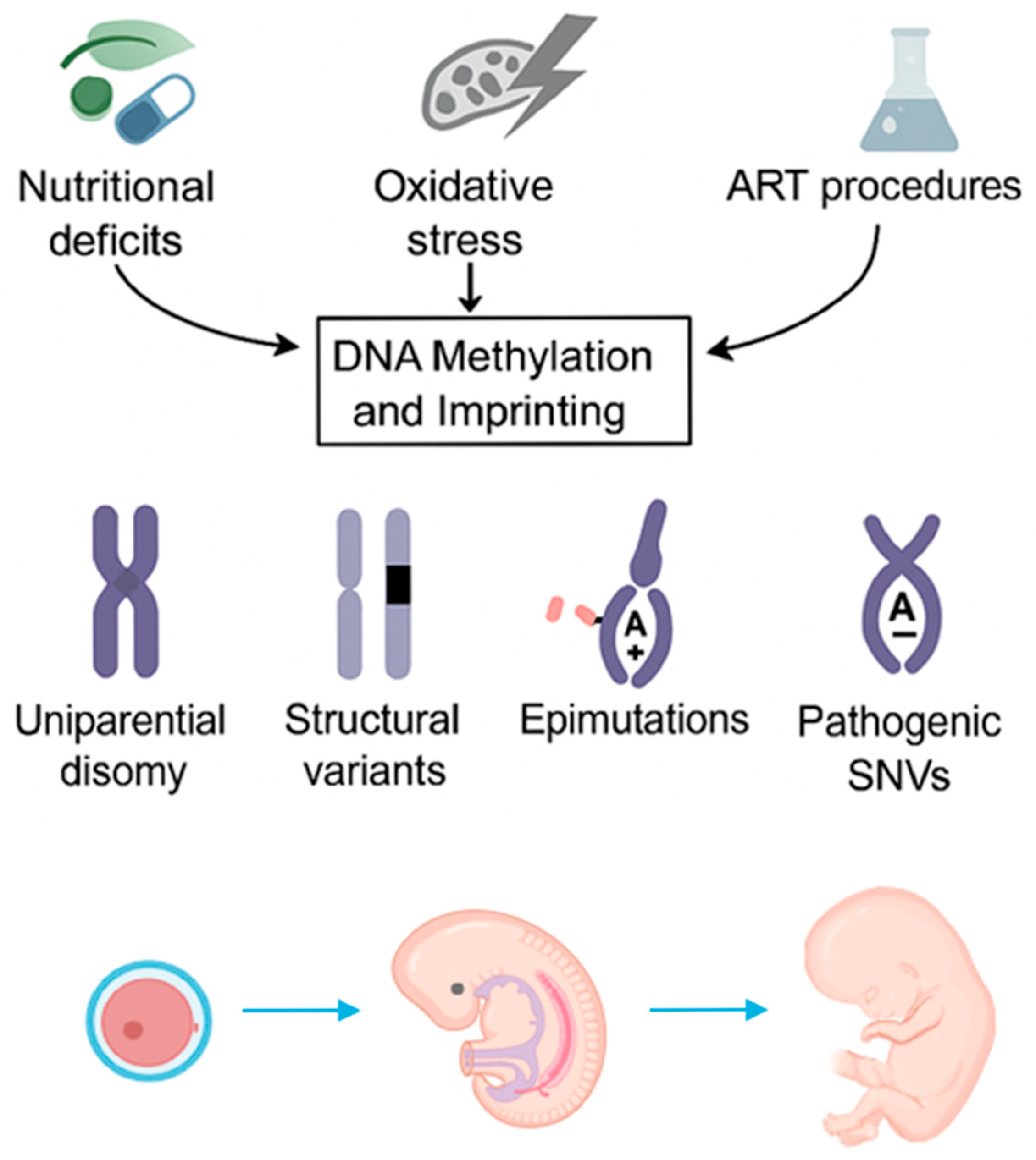 Genes 16 01242 g001 Genes 16 01242 g001