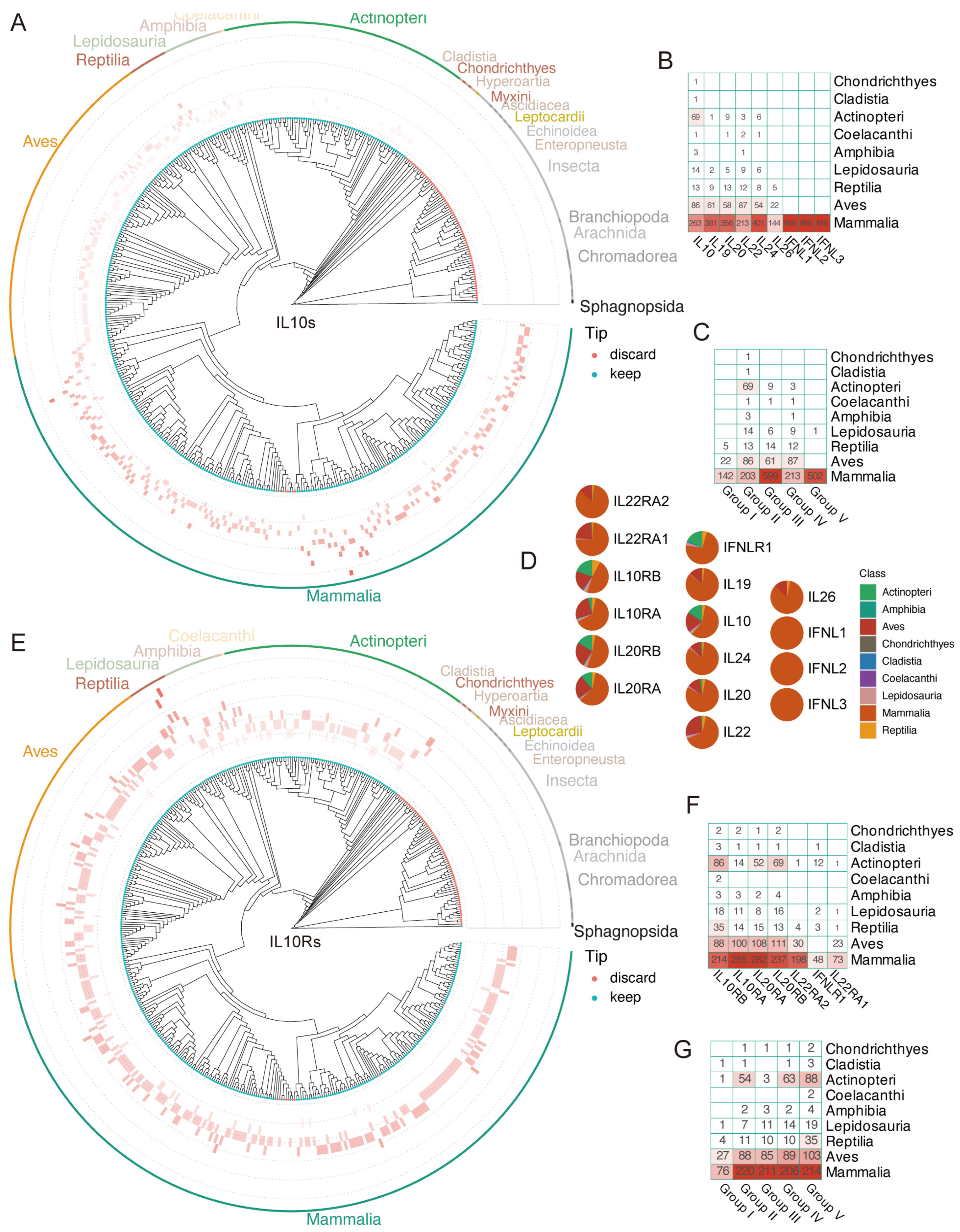 Genes 16 01243 g004 Genes 16 01243 g004
