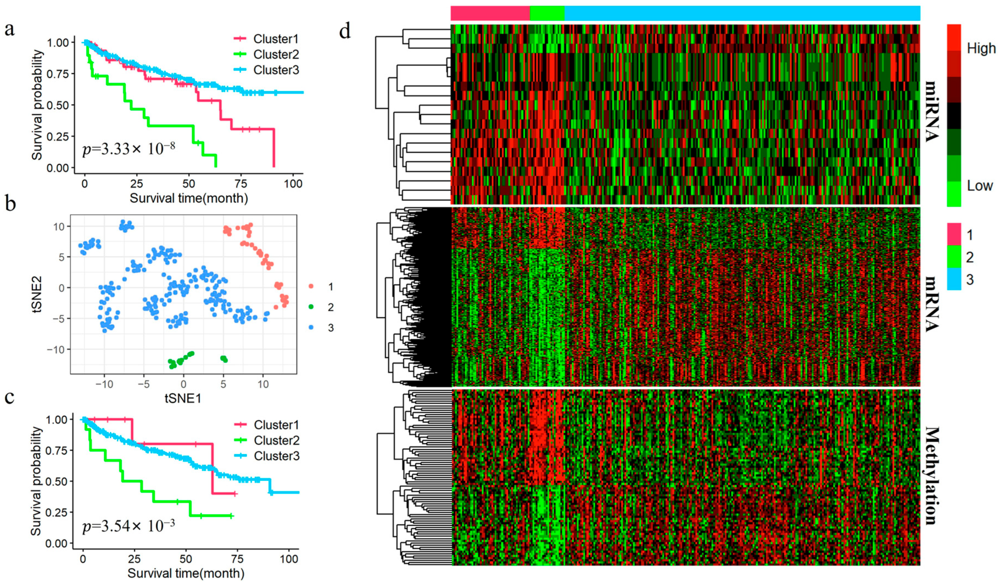 Genes 16 01246 g004