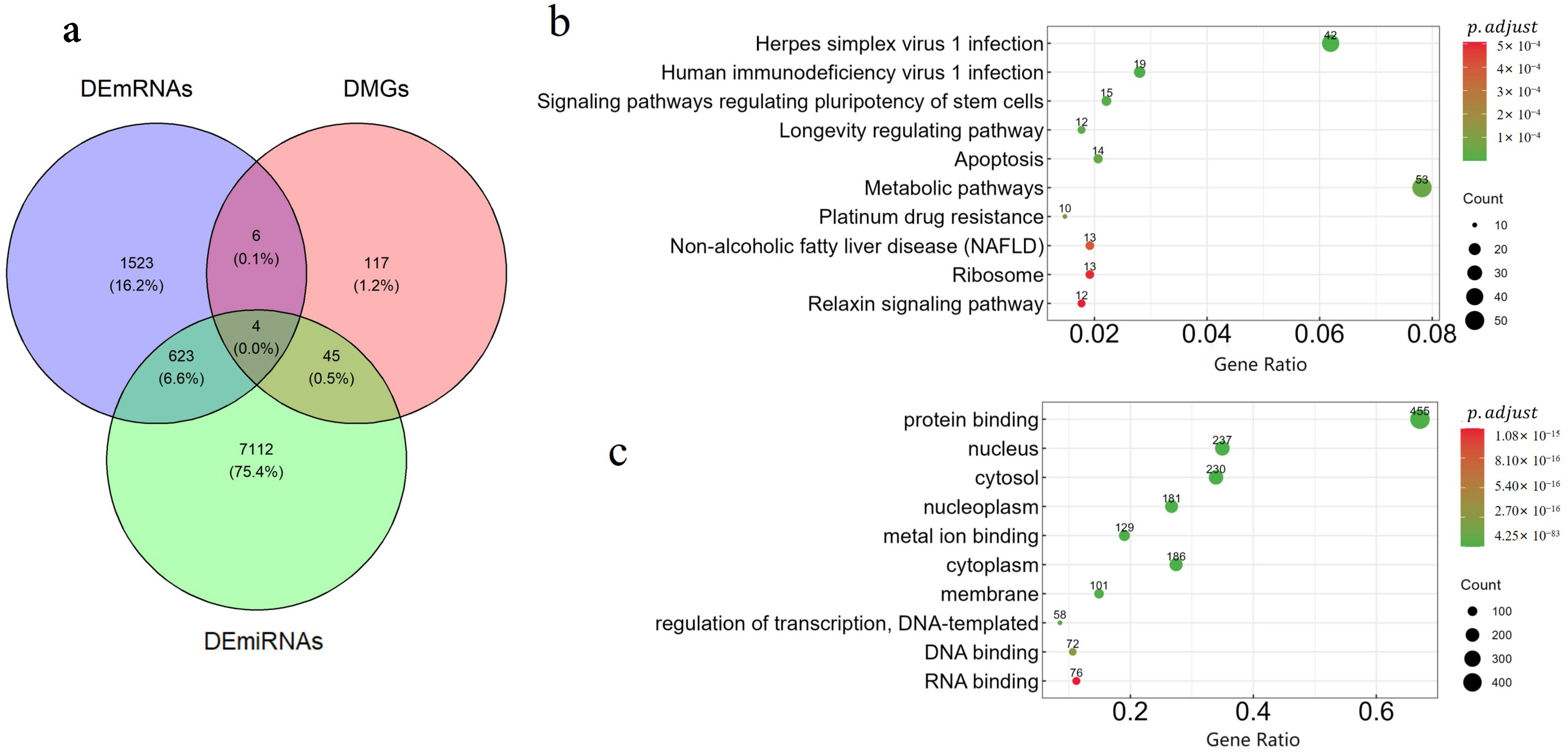 Genes 16 01246 g009