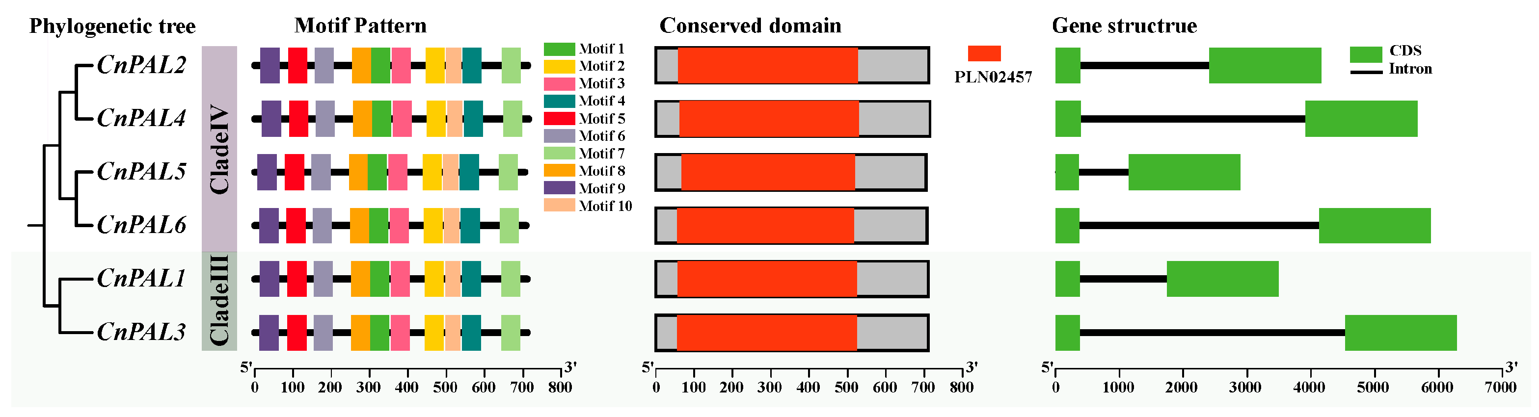 Genes 16 01251 g002 Genes 16 01251 g002