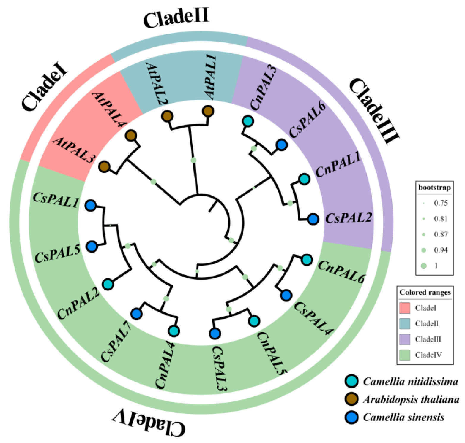 Genes 16 01251 g003 Genes 16 01251 g003