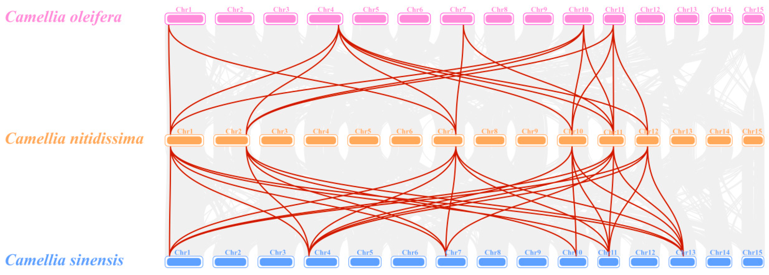 Genes 16 01251 g007 Genes 16 01251 g007