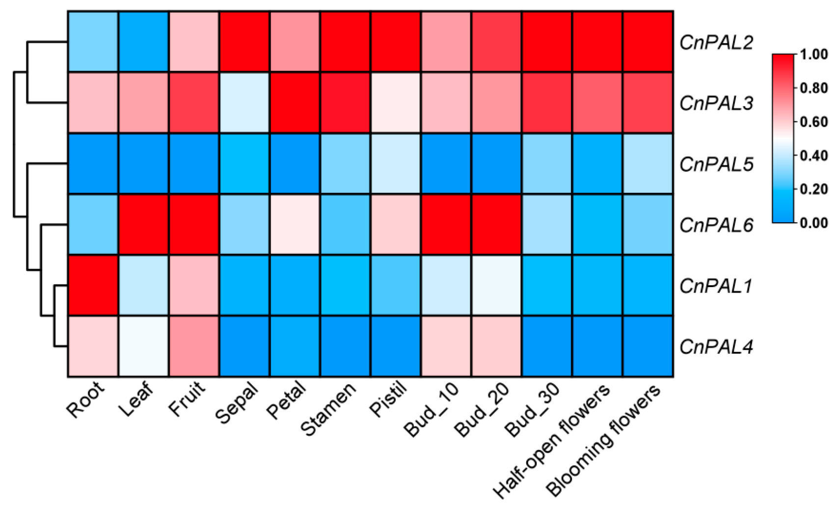 Genes 16 01251 g008 Genes 16 01251 g008