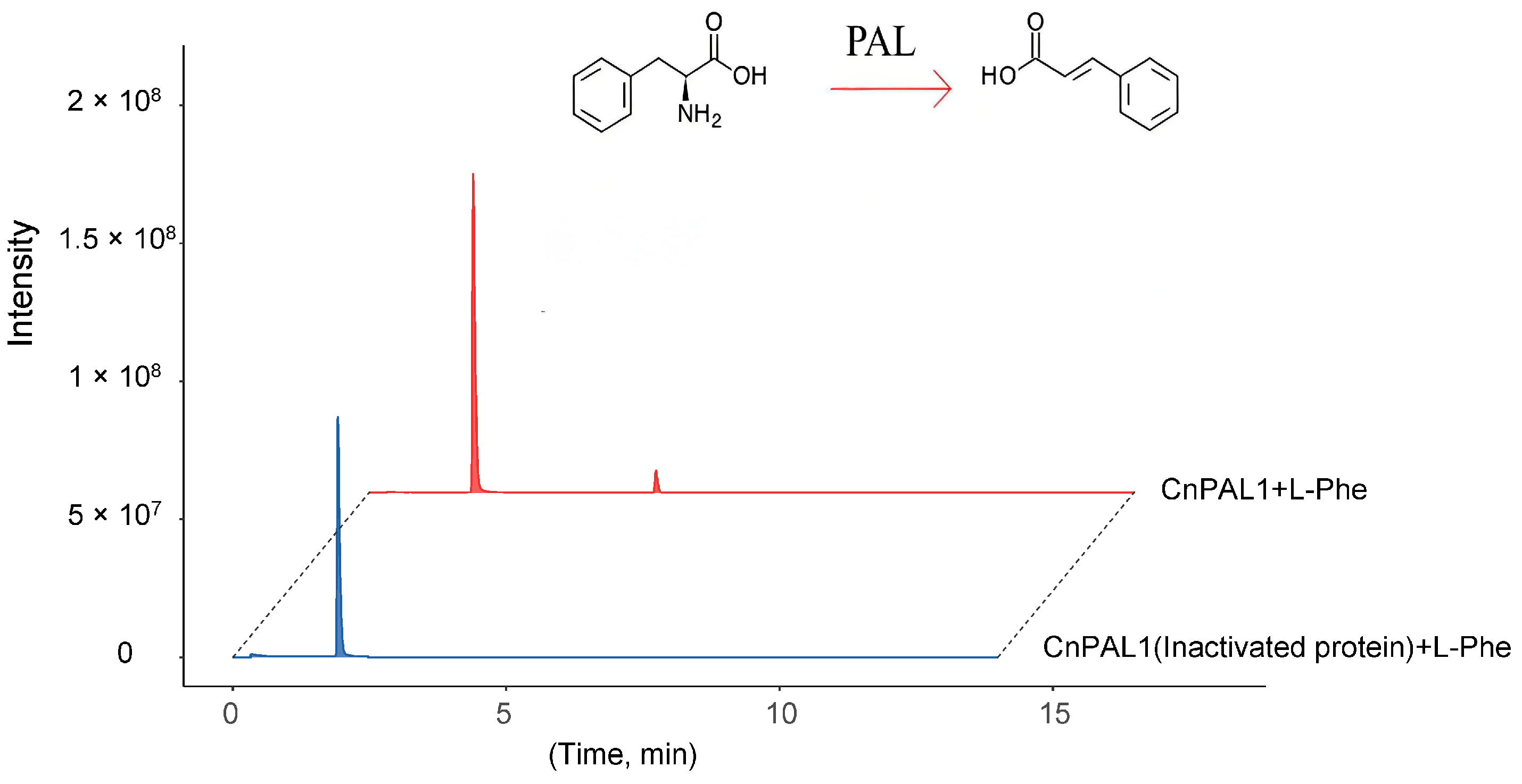Genes 16 01251 g010 Genes 16 01251 g010