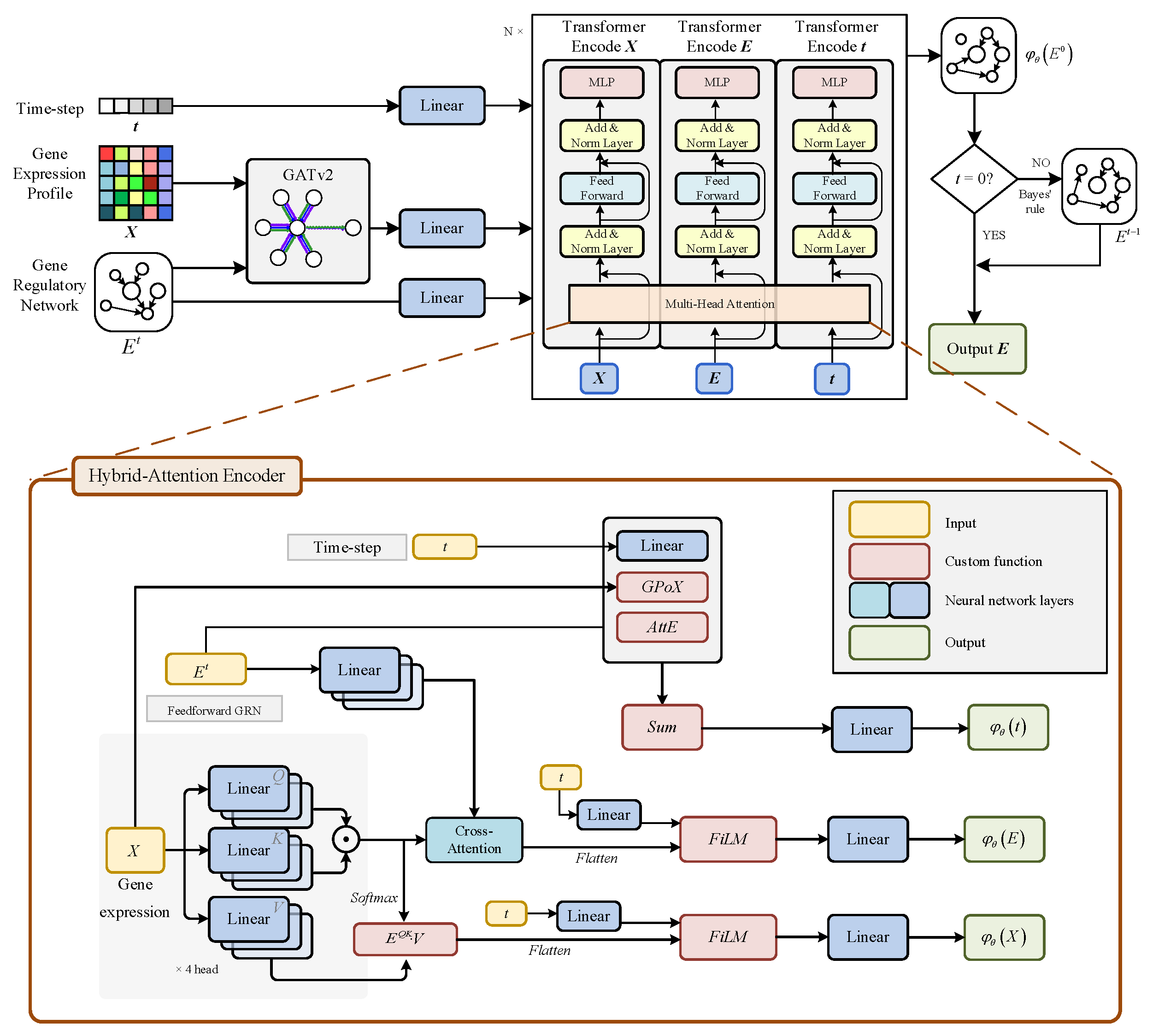 Genes 16 01255 g002 Genes 16 01255 g002