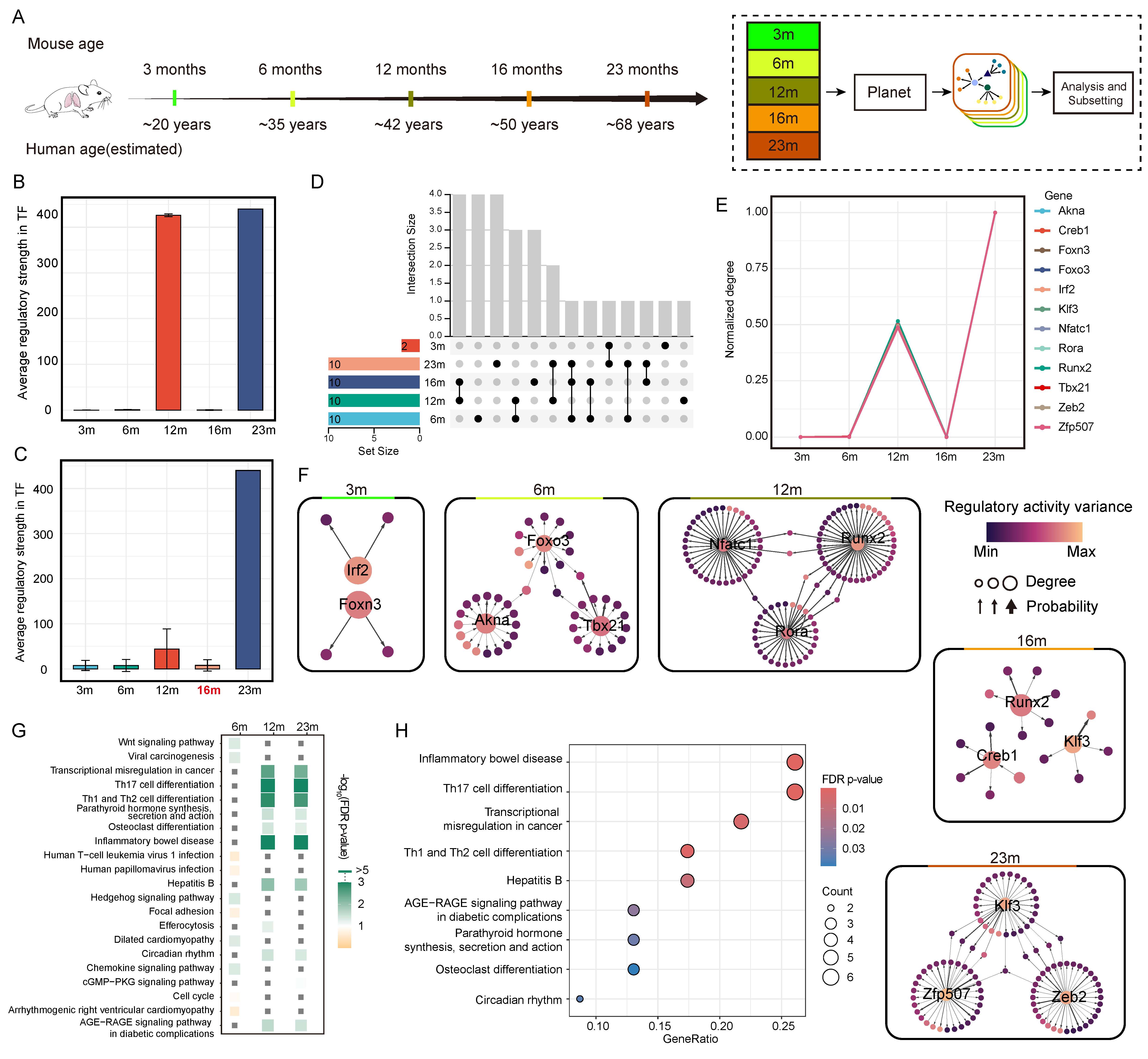 Genes 16 01255 g005 Genes 16 01255 g005