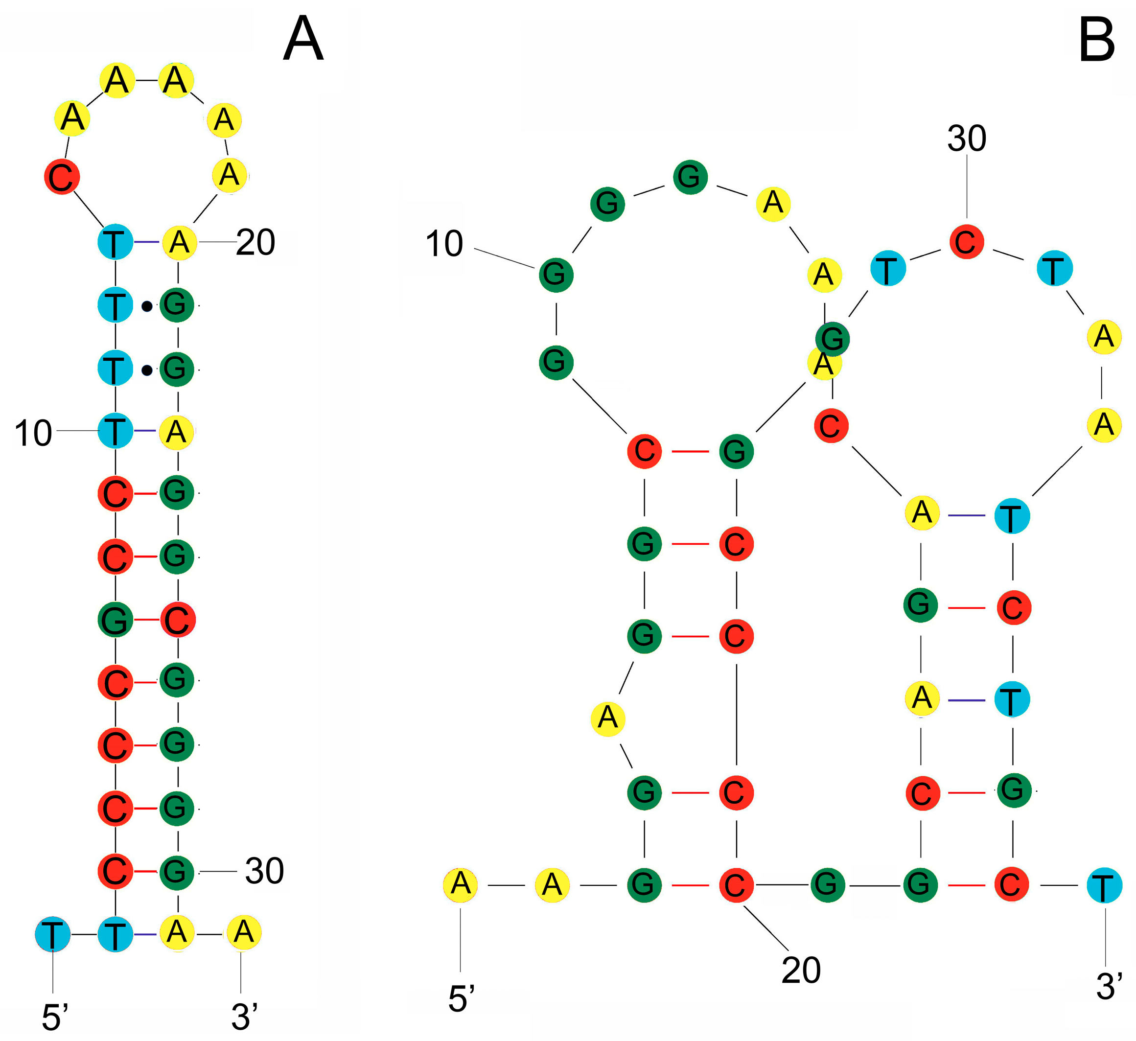 Genes 16 01256 g003 Genes 16 01256 g003
