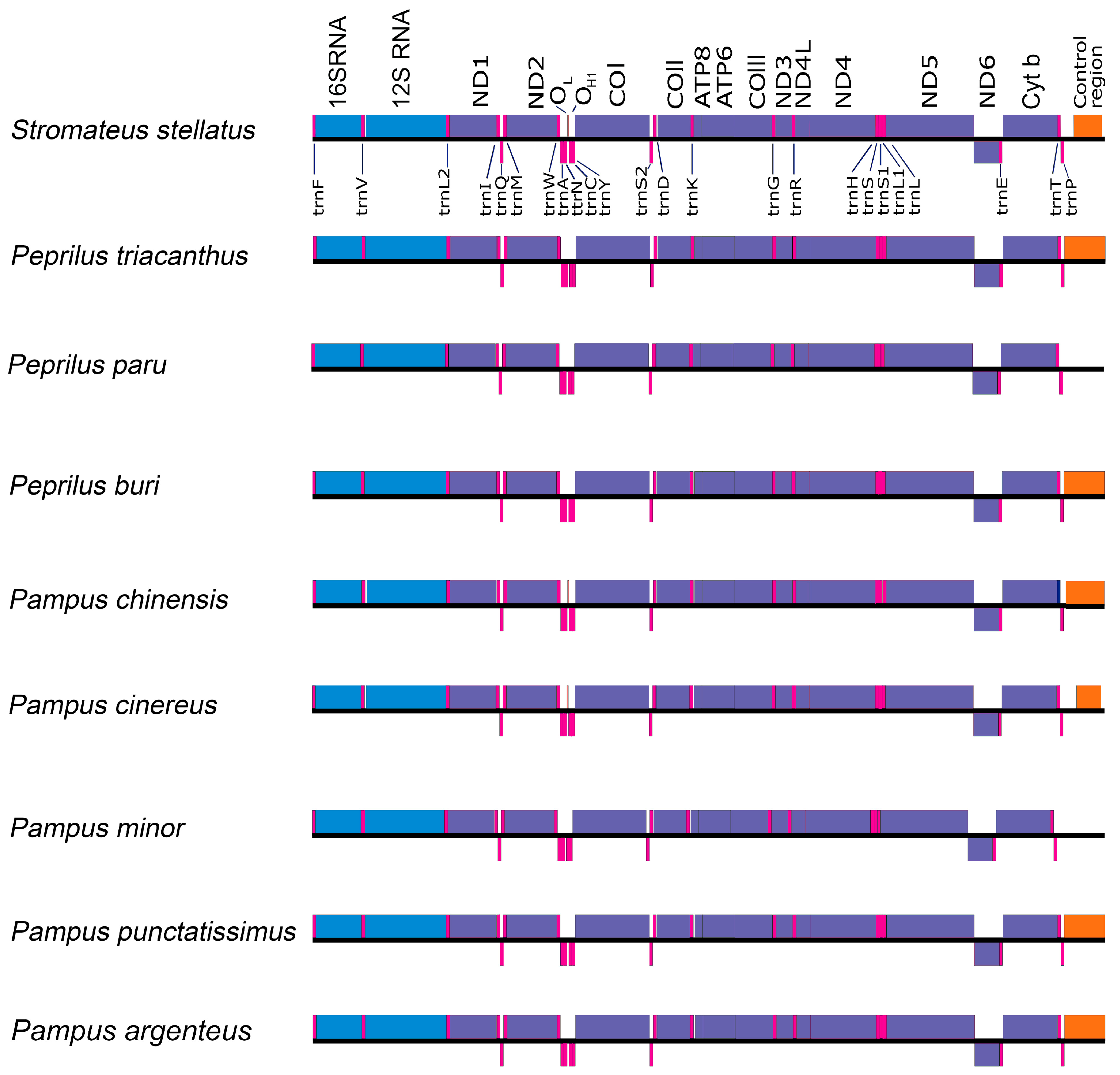 Genes 16 01256 g004 Genes 16 01256 g004