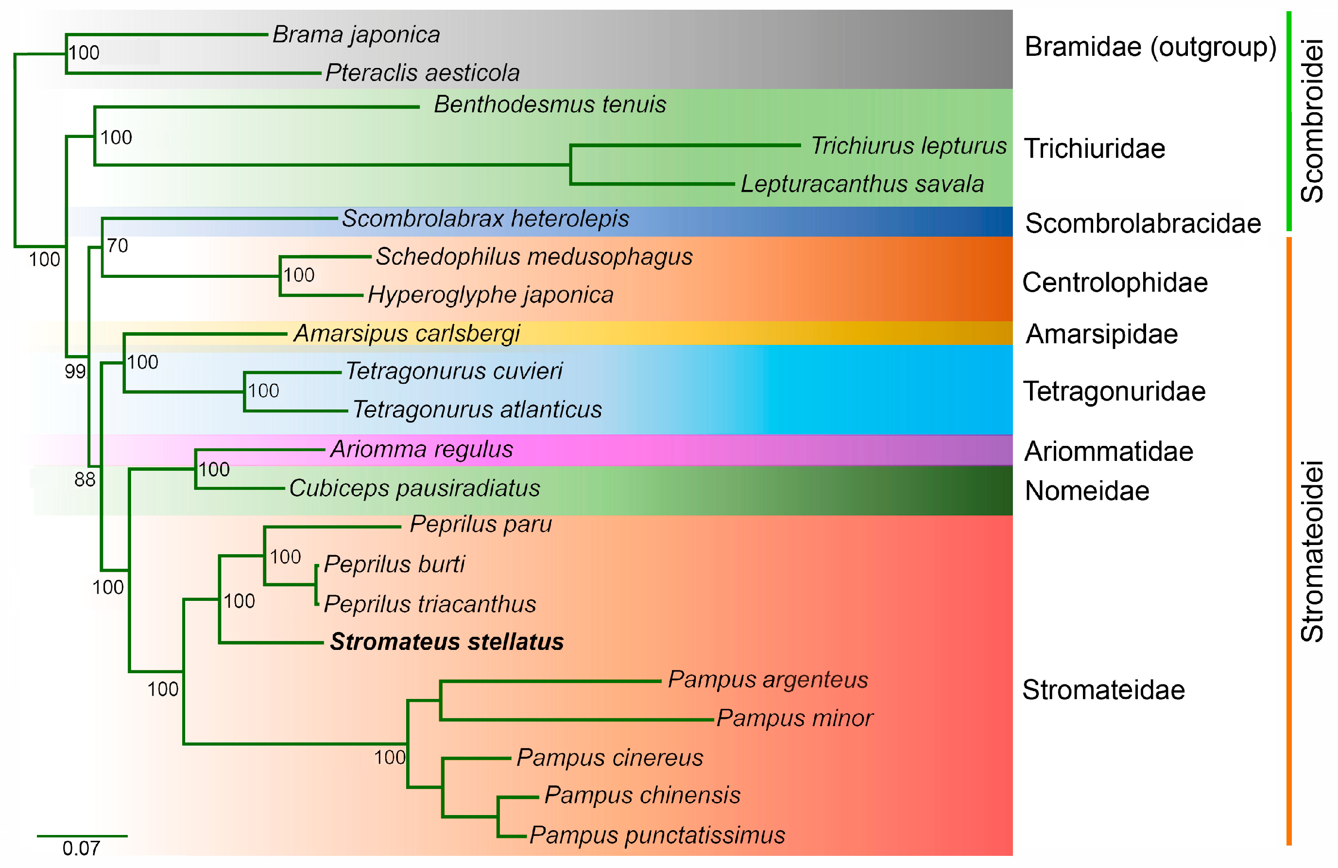 Genes 16 01256 g005 Genes 16 01256 g005