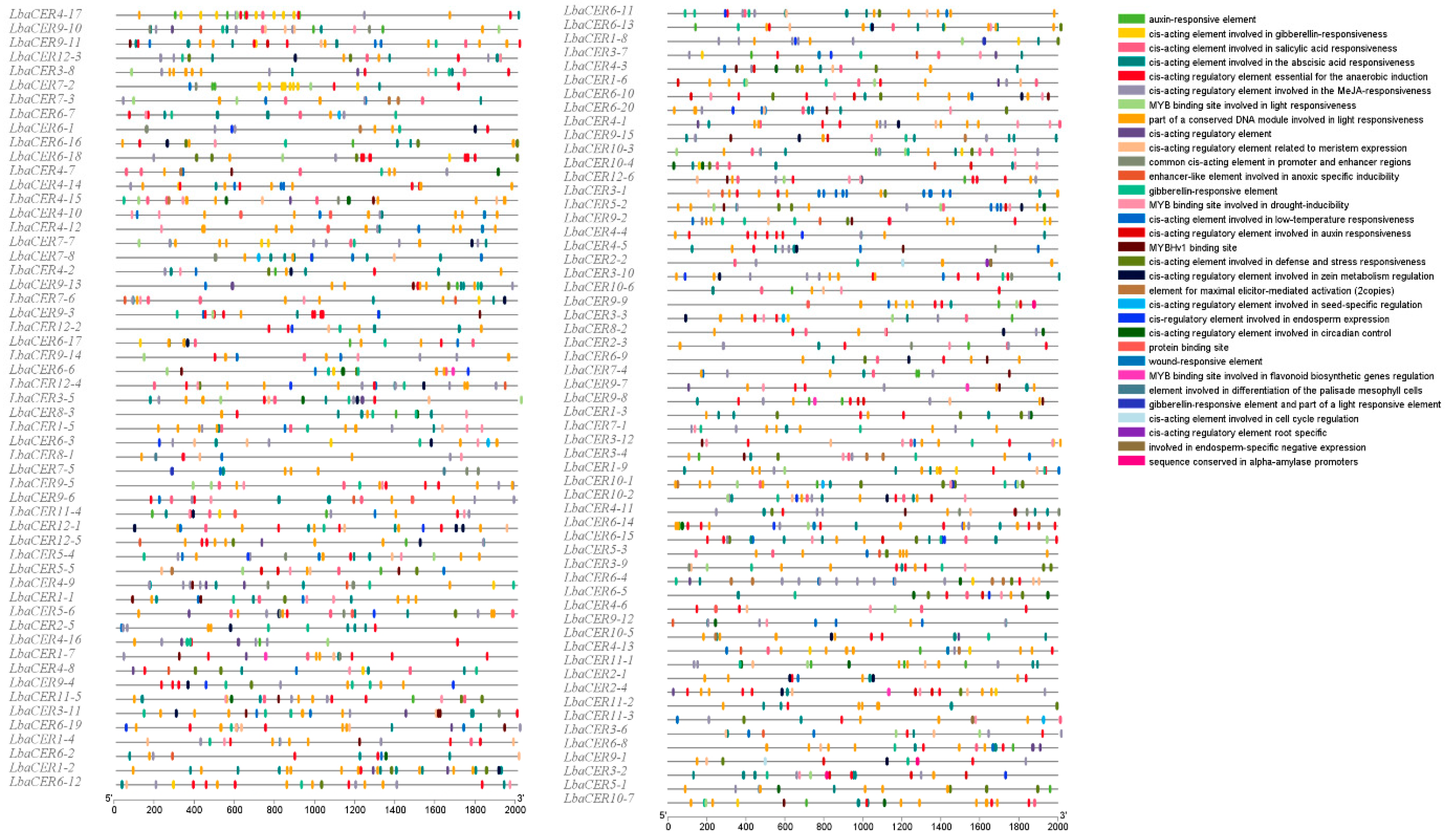 Genes 16 01257 g005 Genes 16 01257 g005