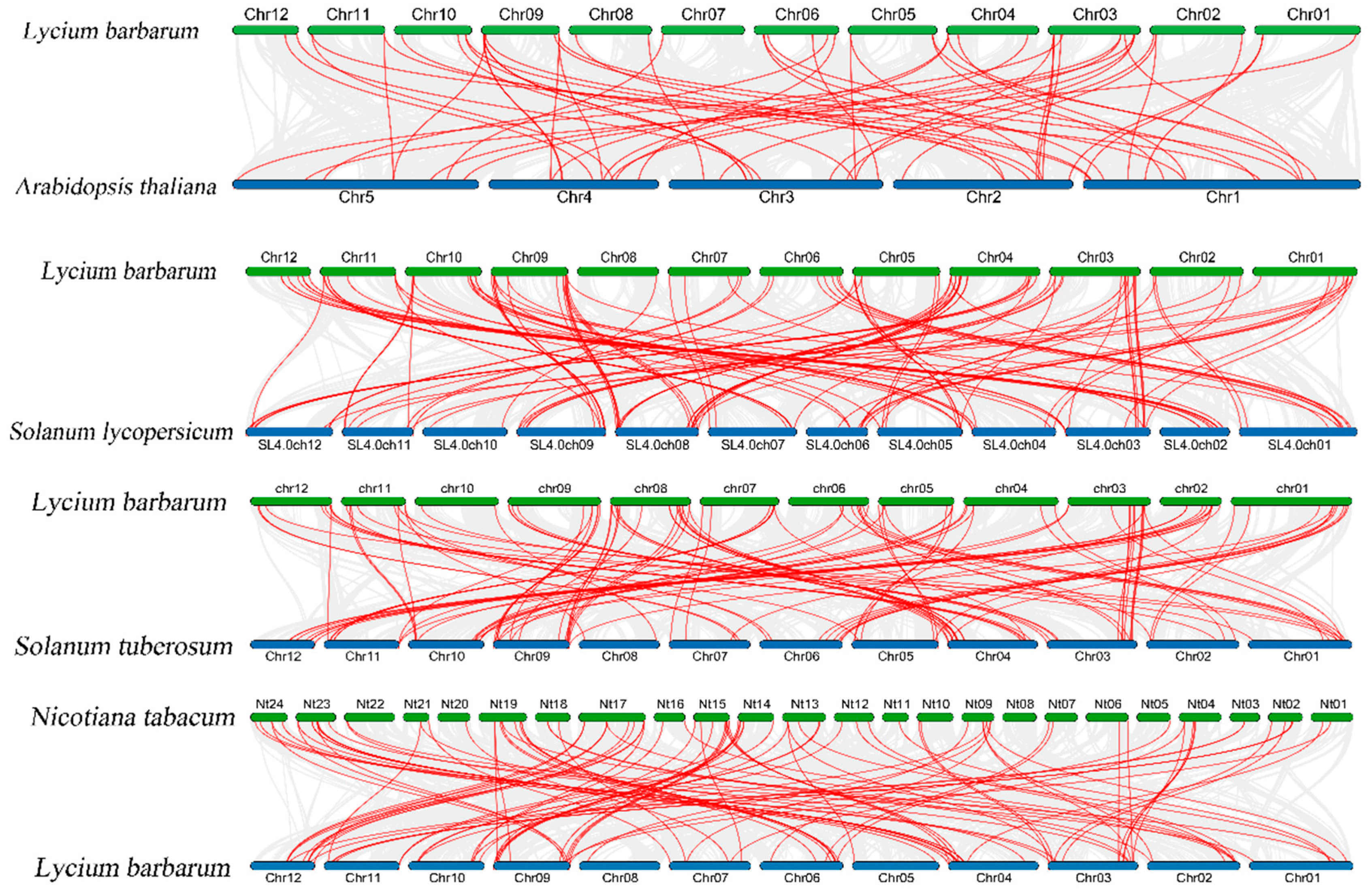 Genes 16 01257 g006 Genes 16 01257 g006