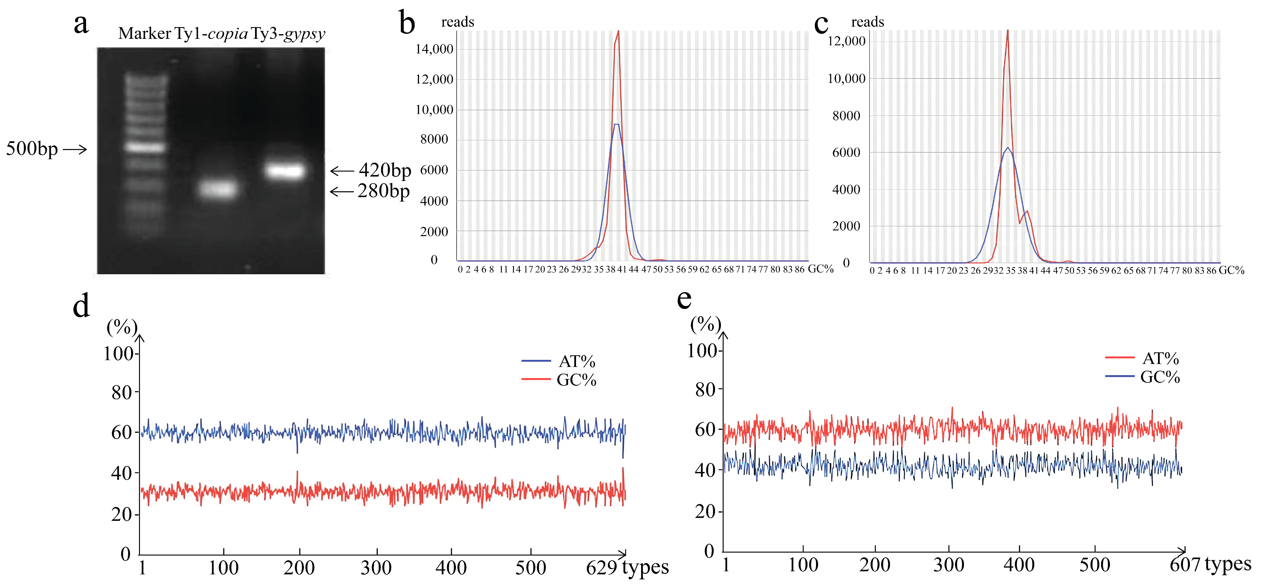 Genes 16 01262 g001 Genes 16 01262 g001