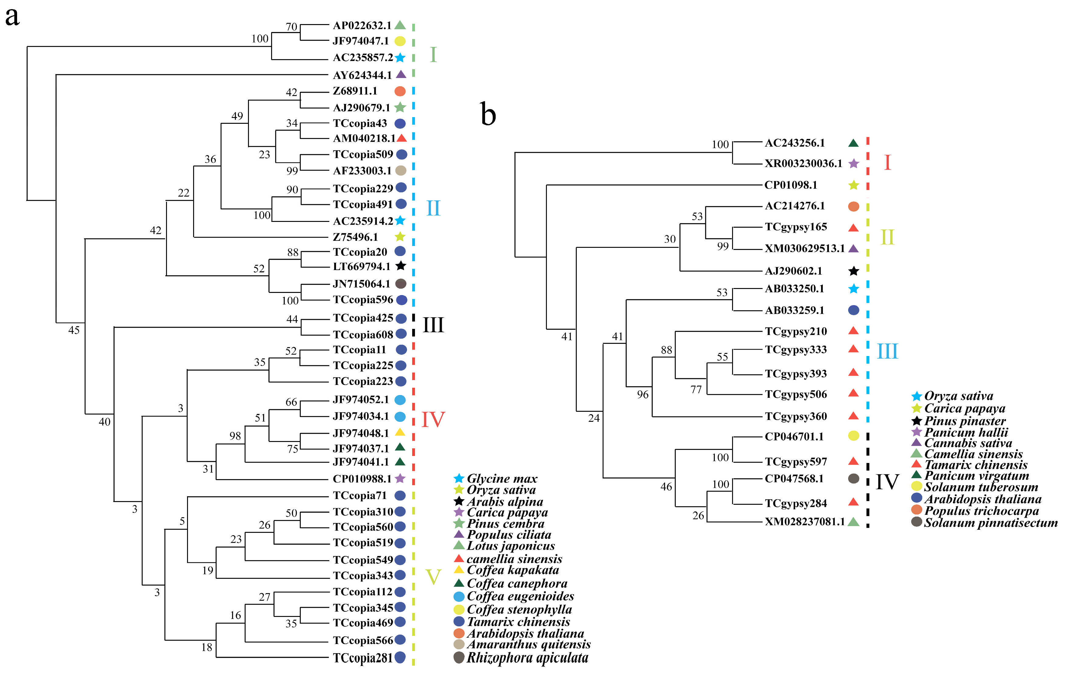 Genes 16 01262 g003 Genes 16 01262 g003