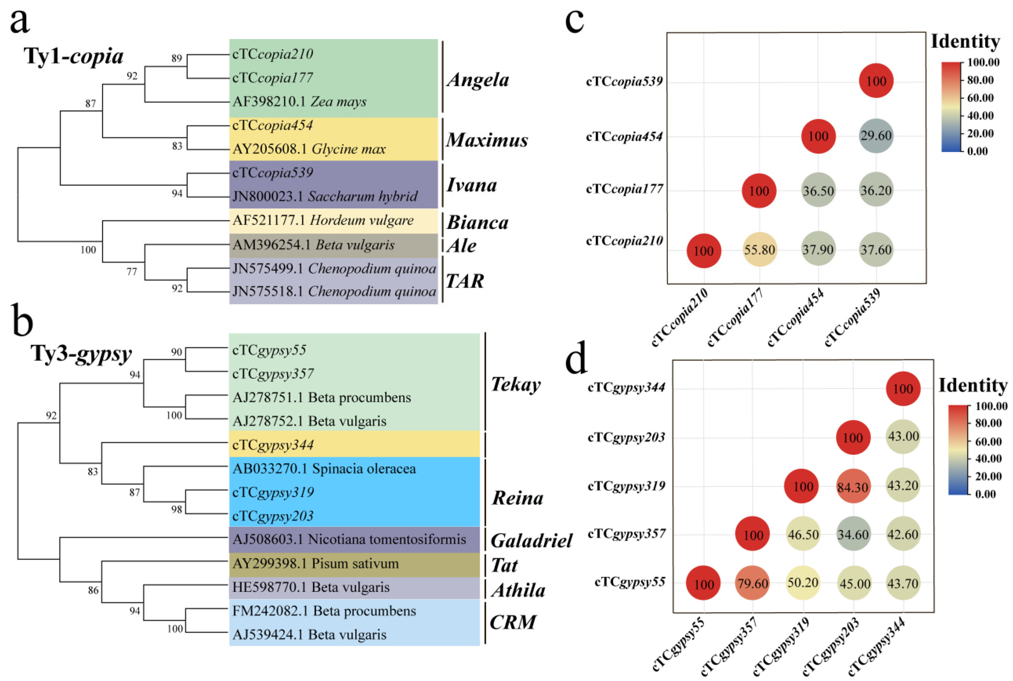 Genes 16 01262 g006 Genes 16 01262 g006