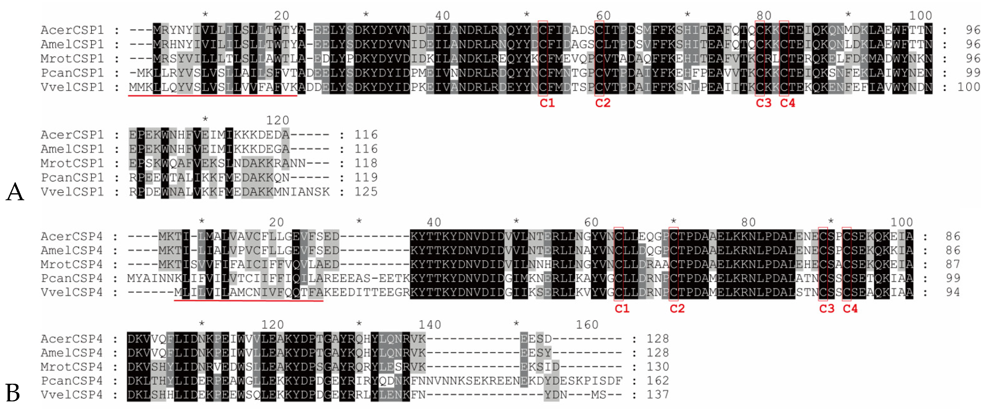 Genes 16 01265 g001 Genes 16 01265 g001