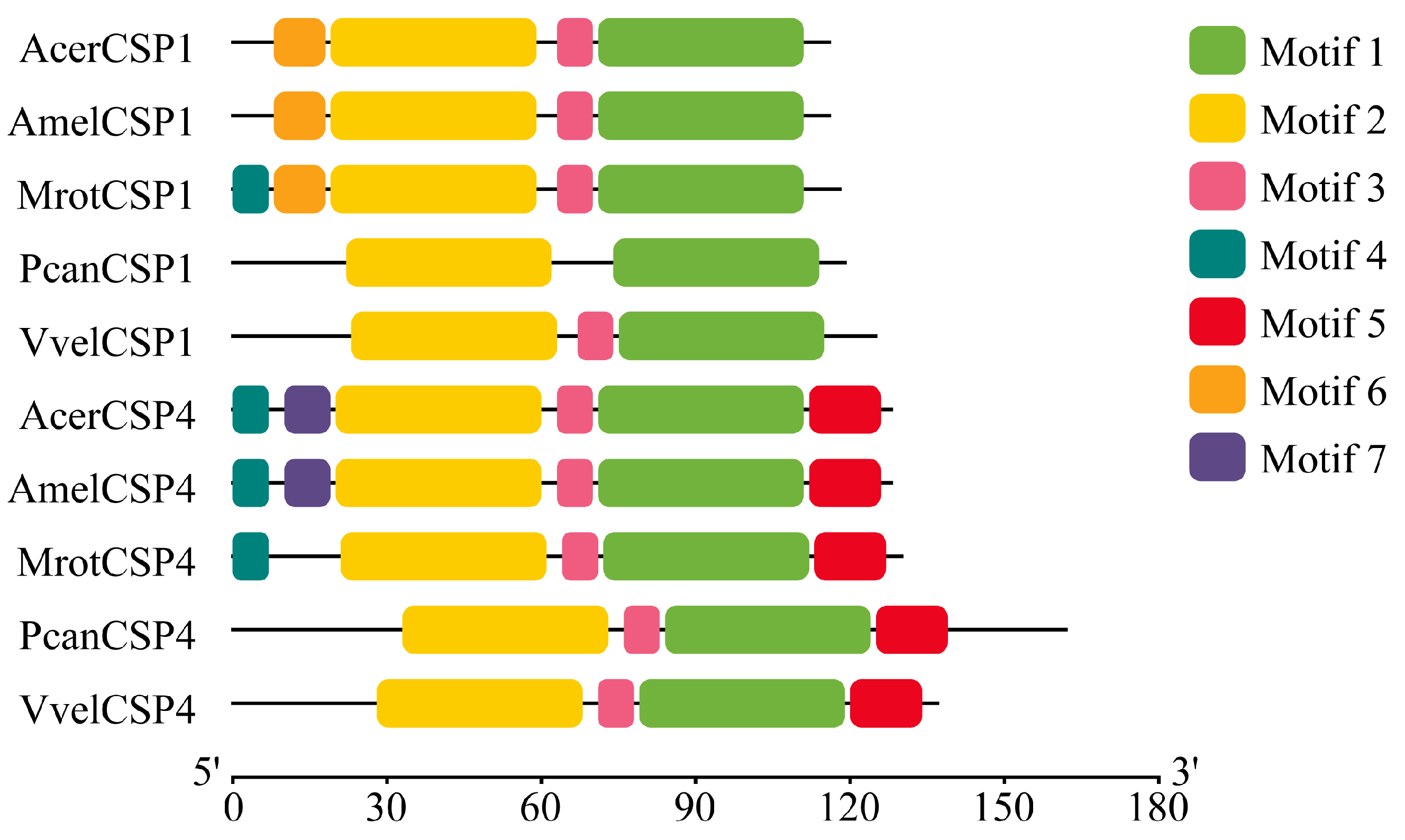 Genes 16 01265 g002 Genes 16 01265 g002