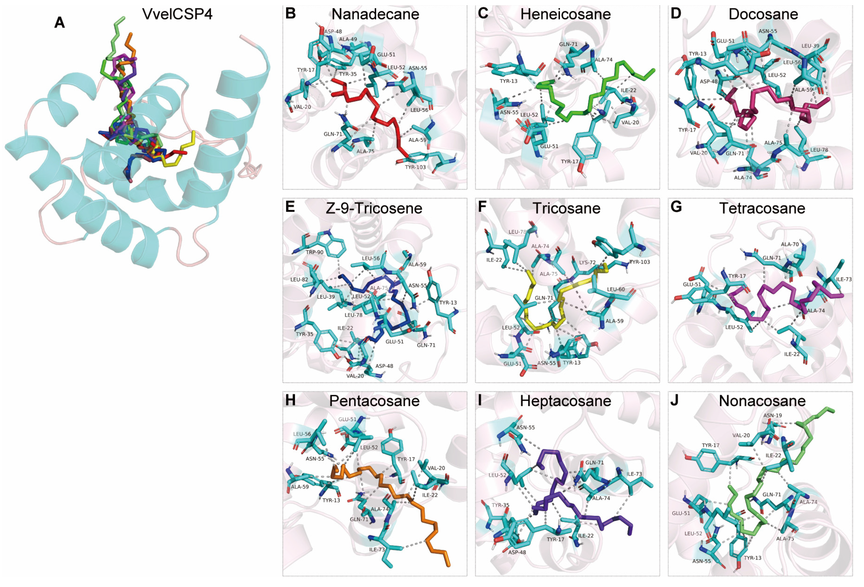 Genes 16 01265 g010 Genes 16 01265 g010