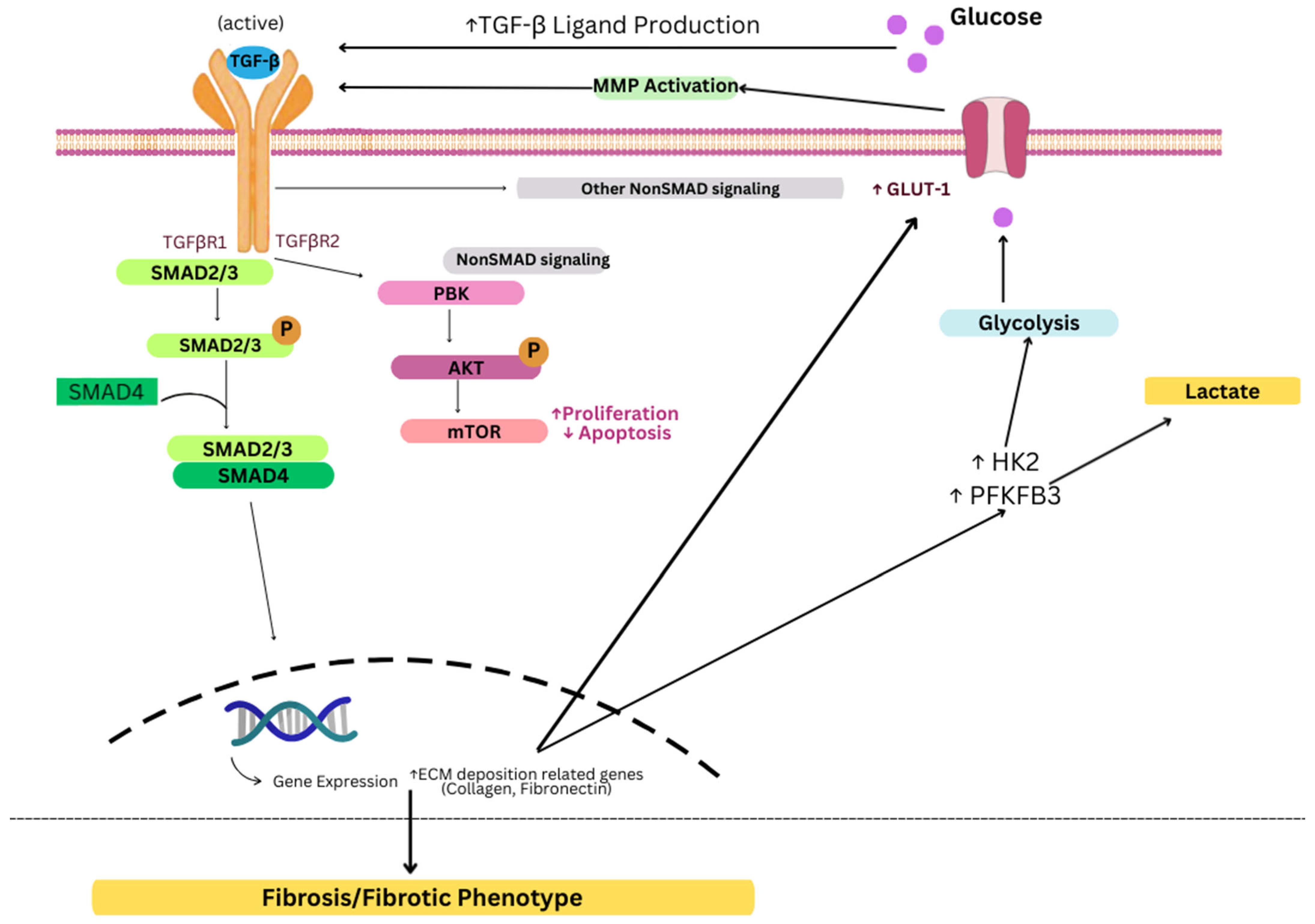 Genes 16 01268 g003 Genes 16 01268 g003
