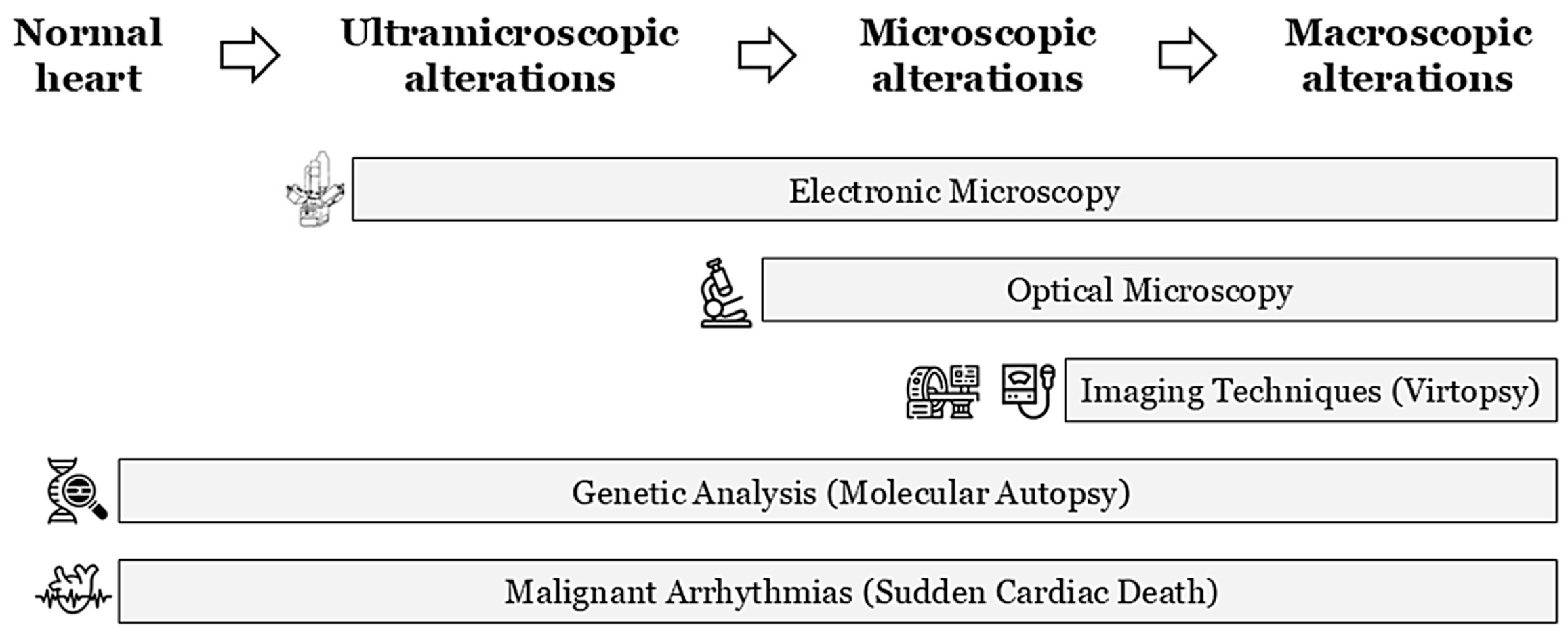 Genes 16 01273 g001 Genes 16 01273 g001