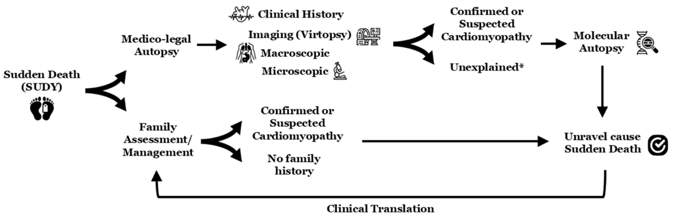 Genes 16 01273 g002 Genes 16 01273 g002