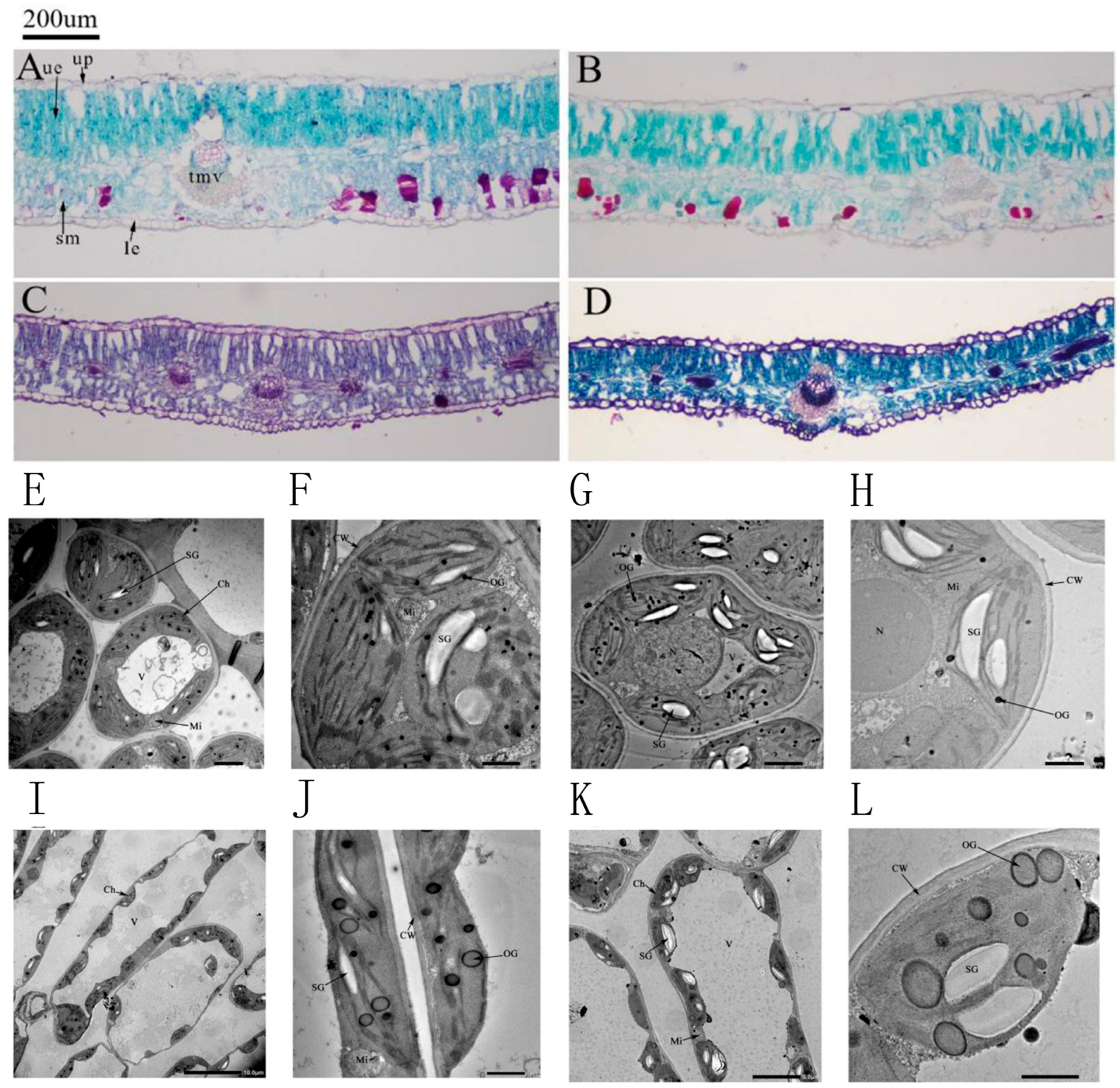 Genes 16 01274 g003 Genes 16 01274 g003