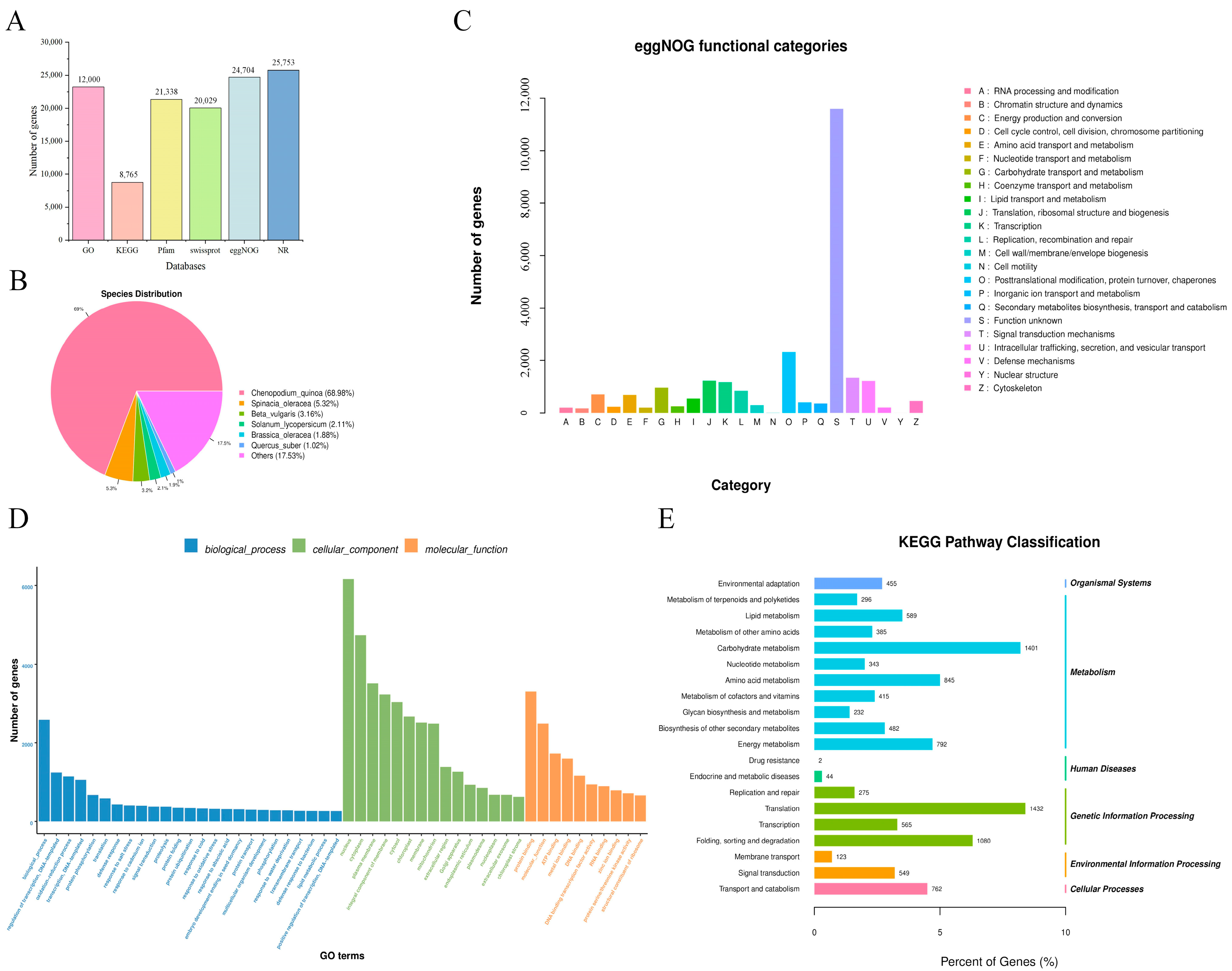 Genes 16 01274 g004 Genes 16 01274 g004