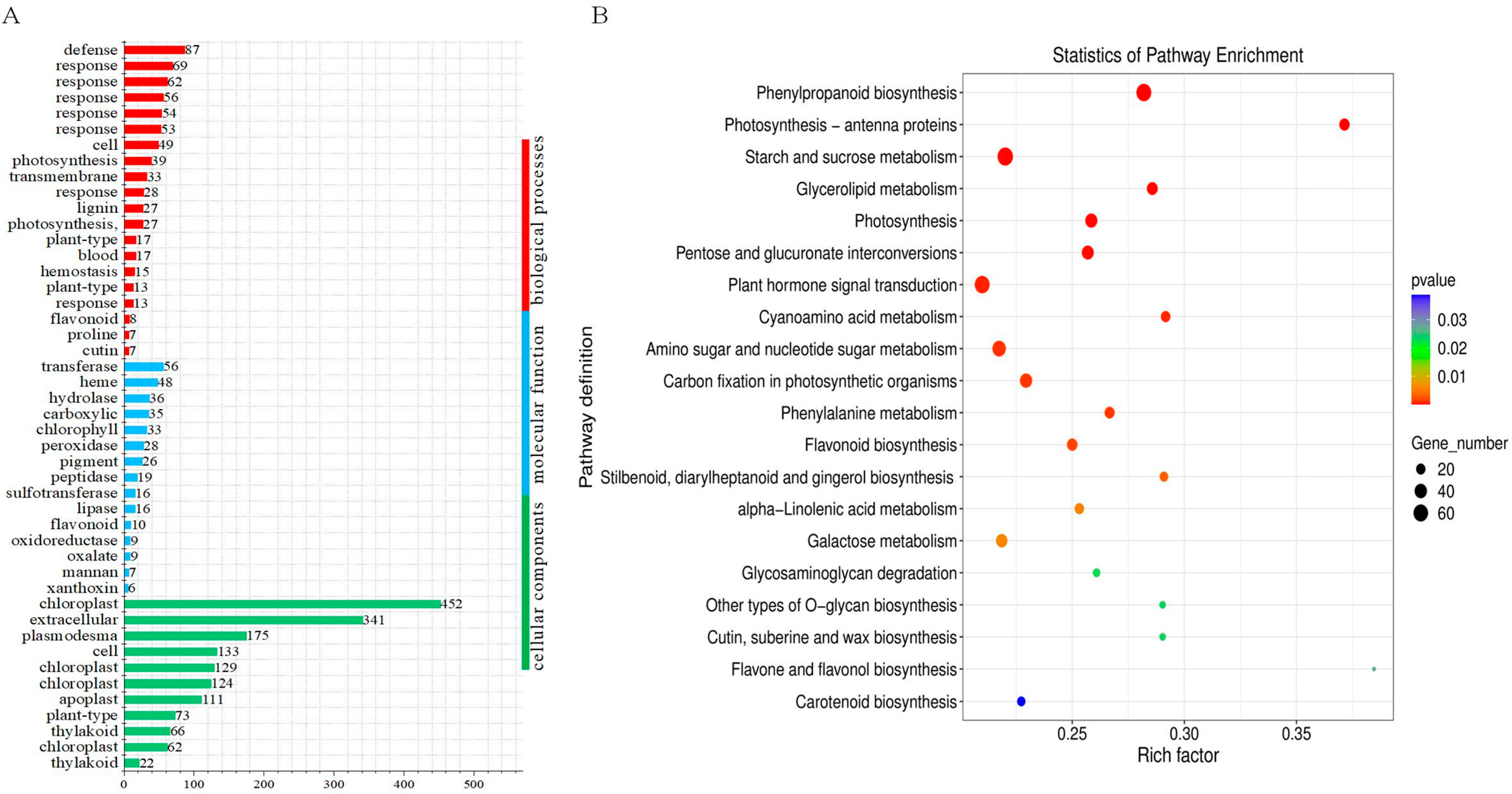 Genes 16 01274 g006 Genes 16 01274 g006