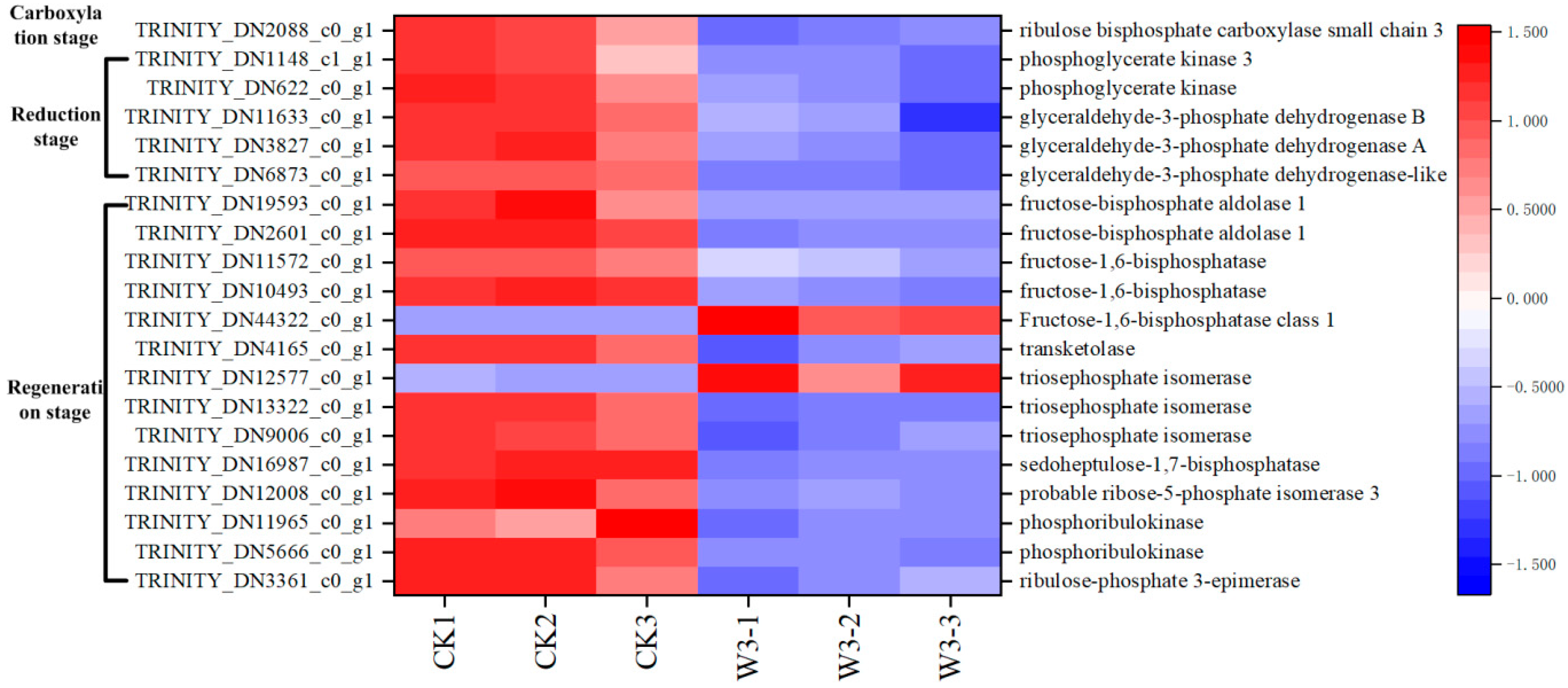 Genes 16 01274 g008 Genes 16 01274 g008