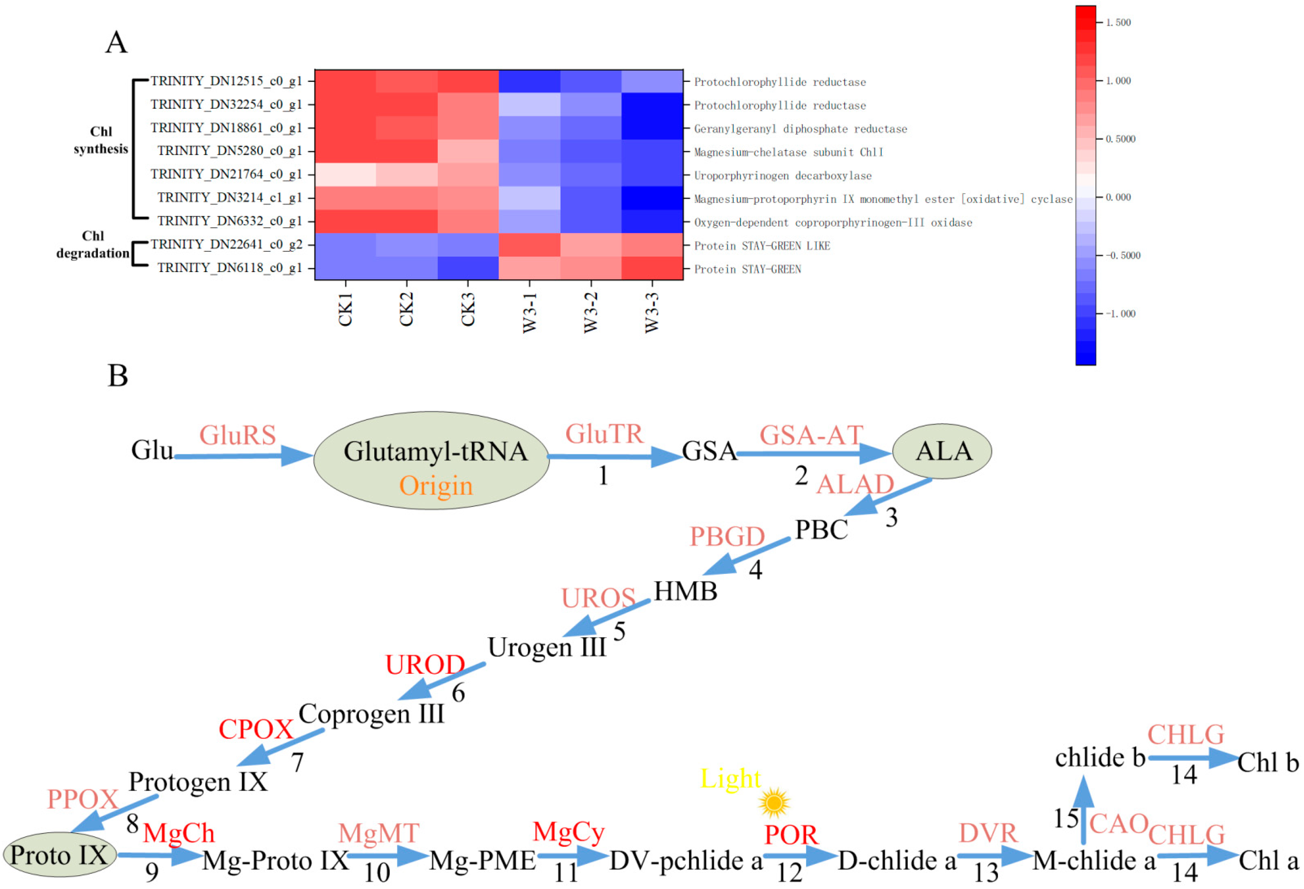 Genes 16 01274 g009 Genes 16 01274 g009