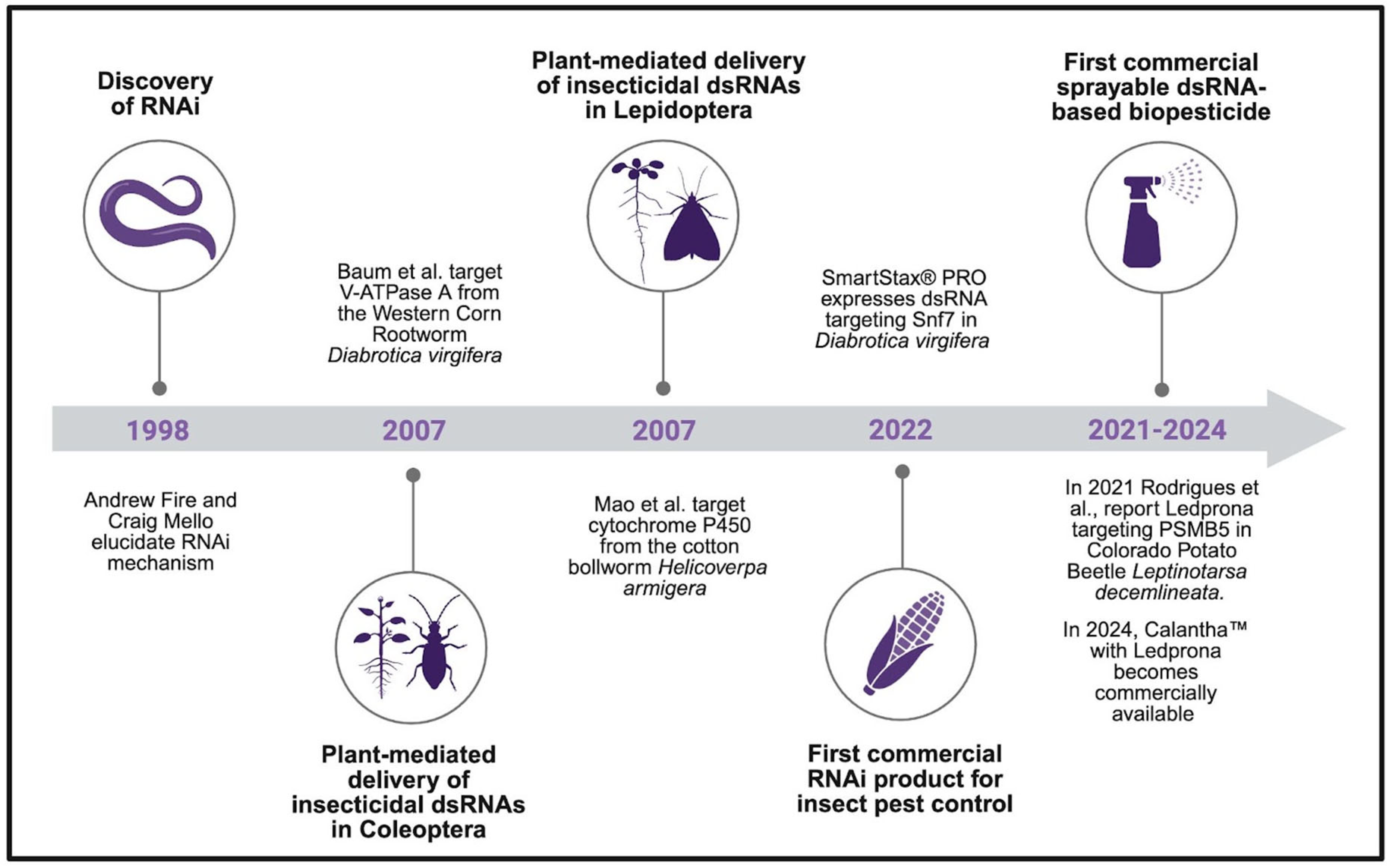 Genes 16 01276 g001 Genes 16 01276 g001