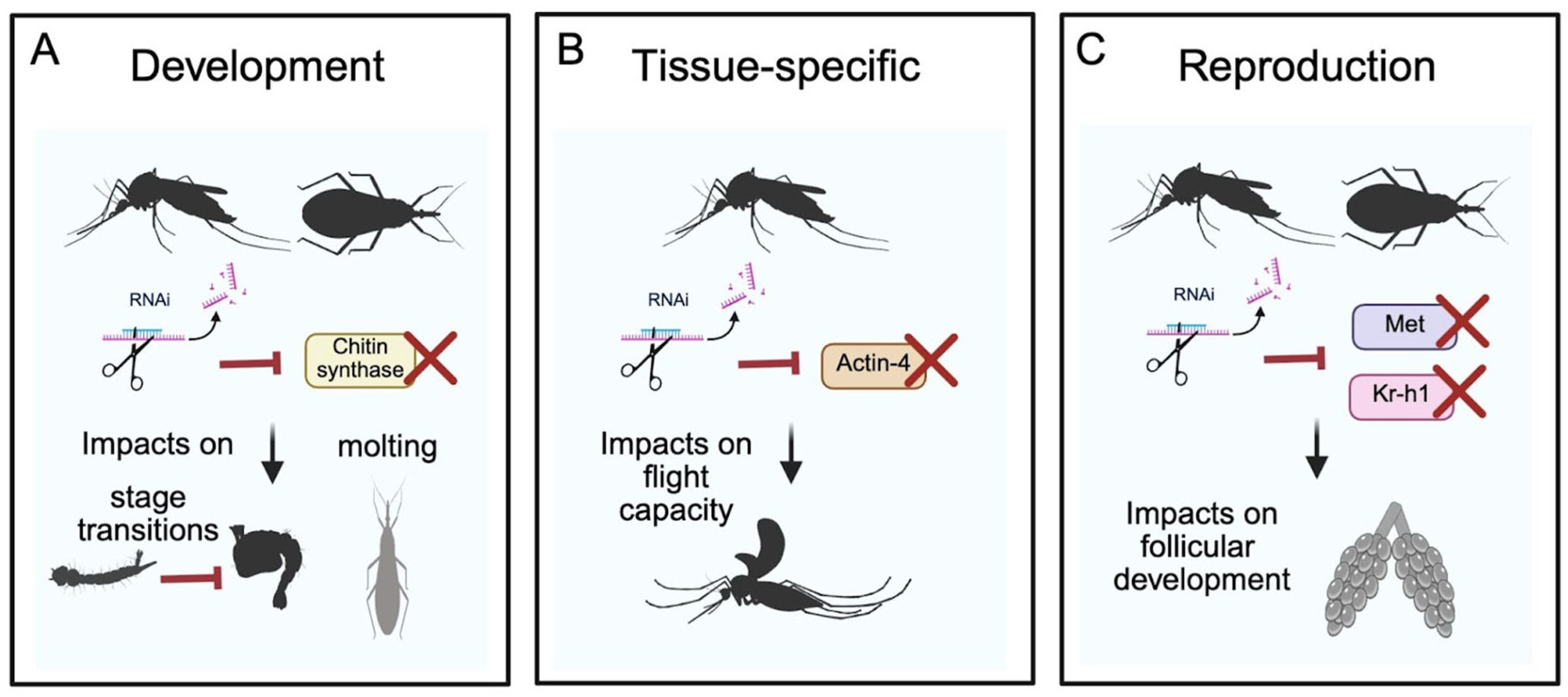 Genes 16 01276 g002 Genes 16 01276 g002