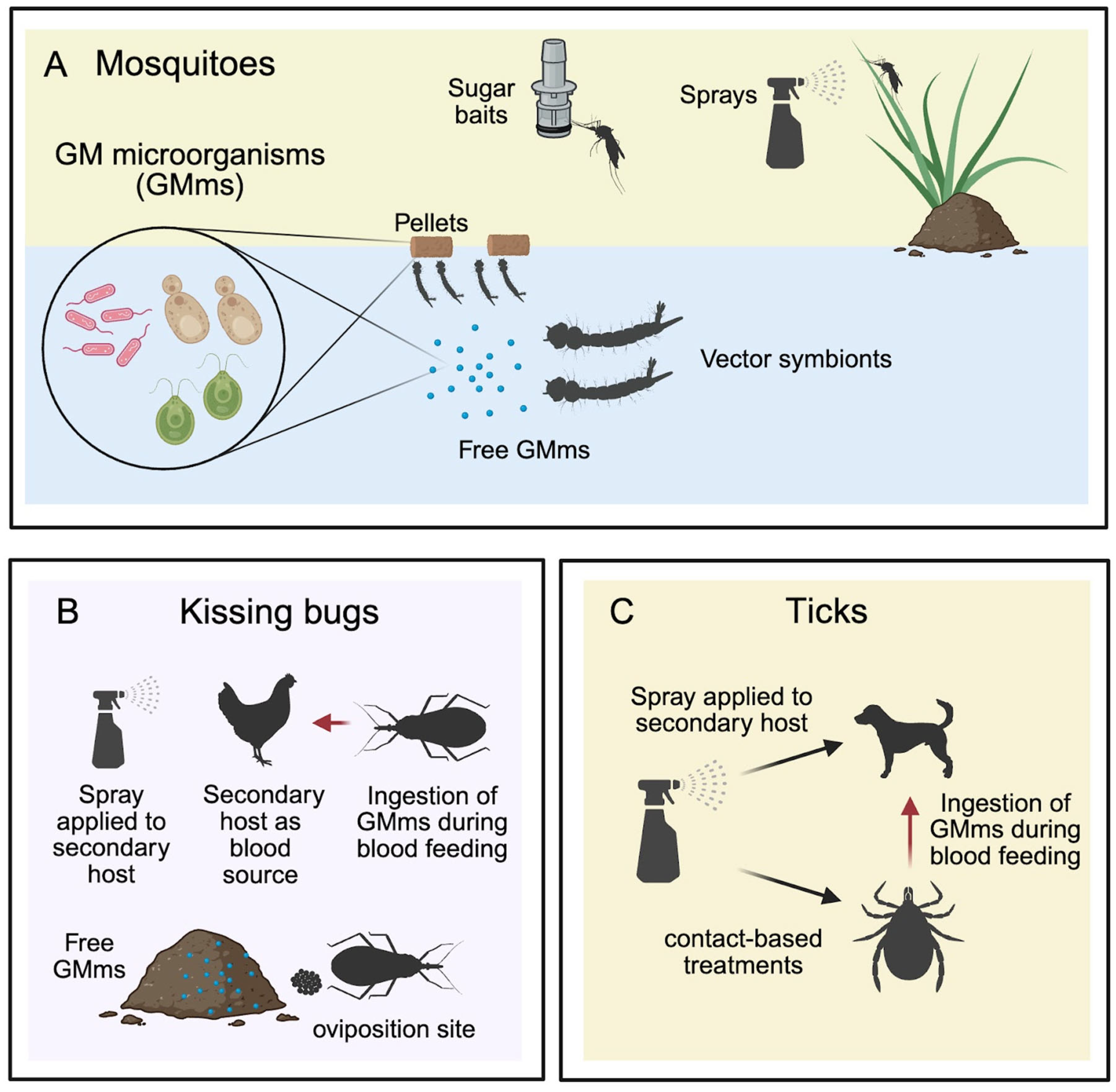 Genes 16 01276 g003 Genes 16 01276 g003