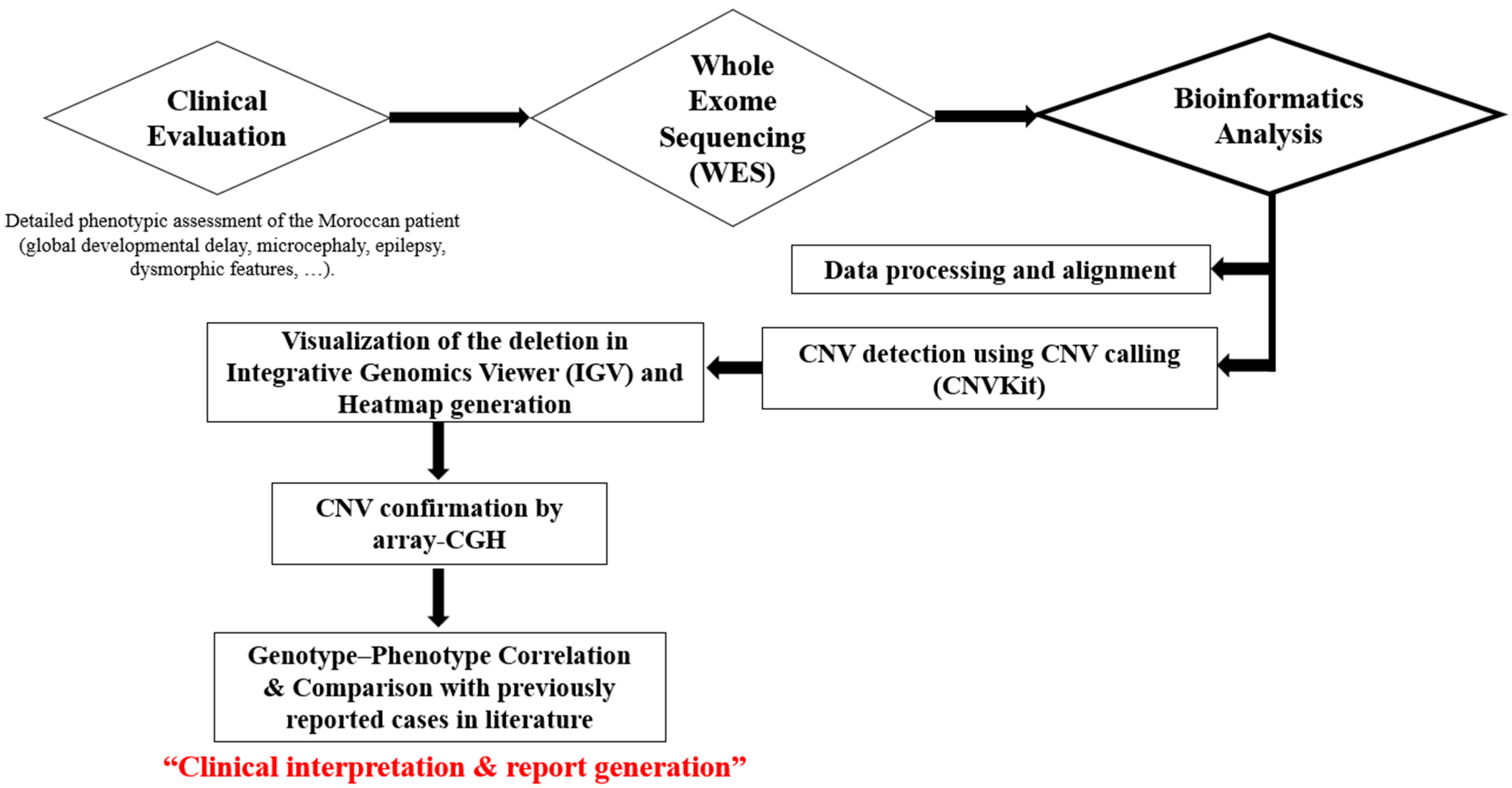 Genes 16 01280 g001 Genes 16 01280 g001