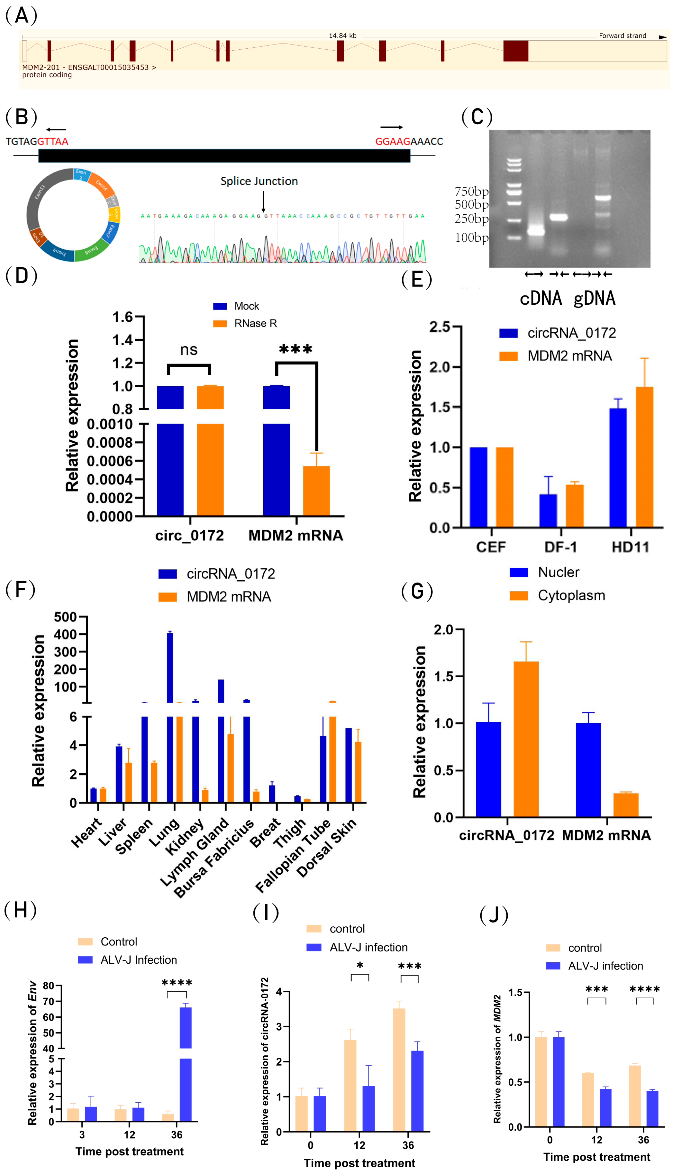 Genes 16 01282 g001 Genes 16 01282 g001