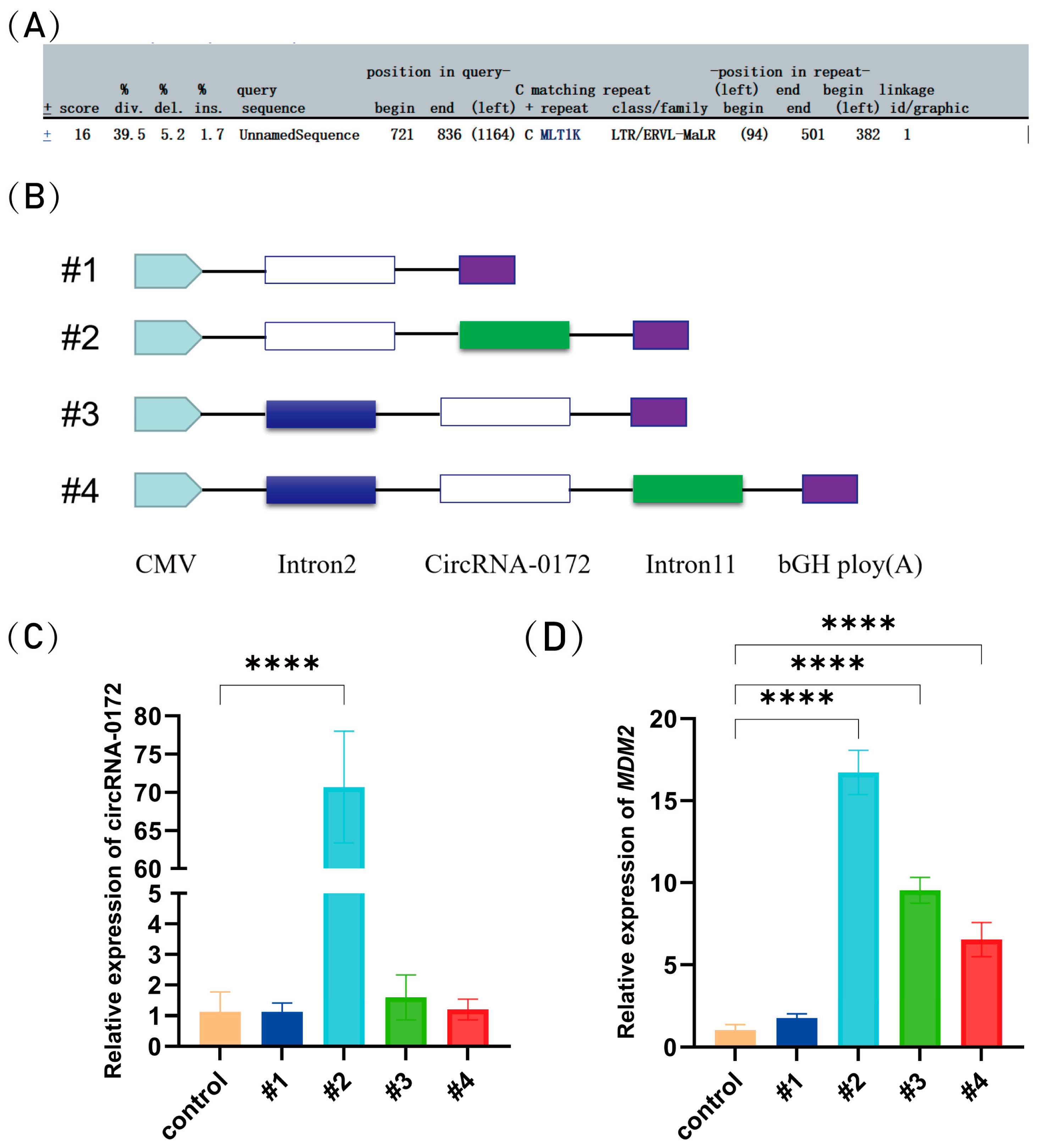 Genes 16 01282 g002 Genes 16 01282 g002