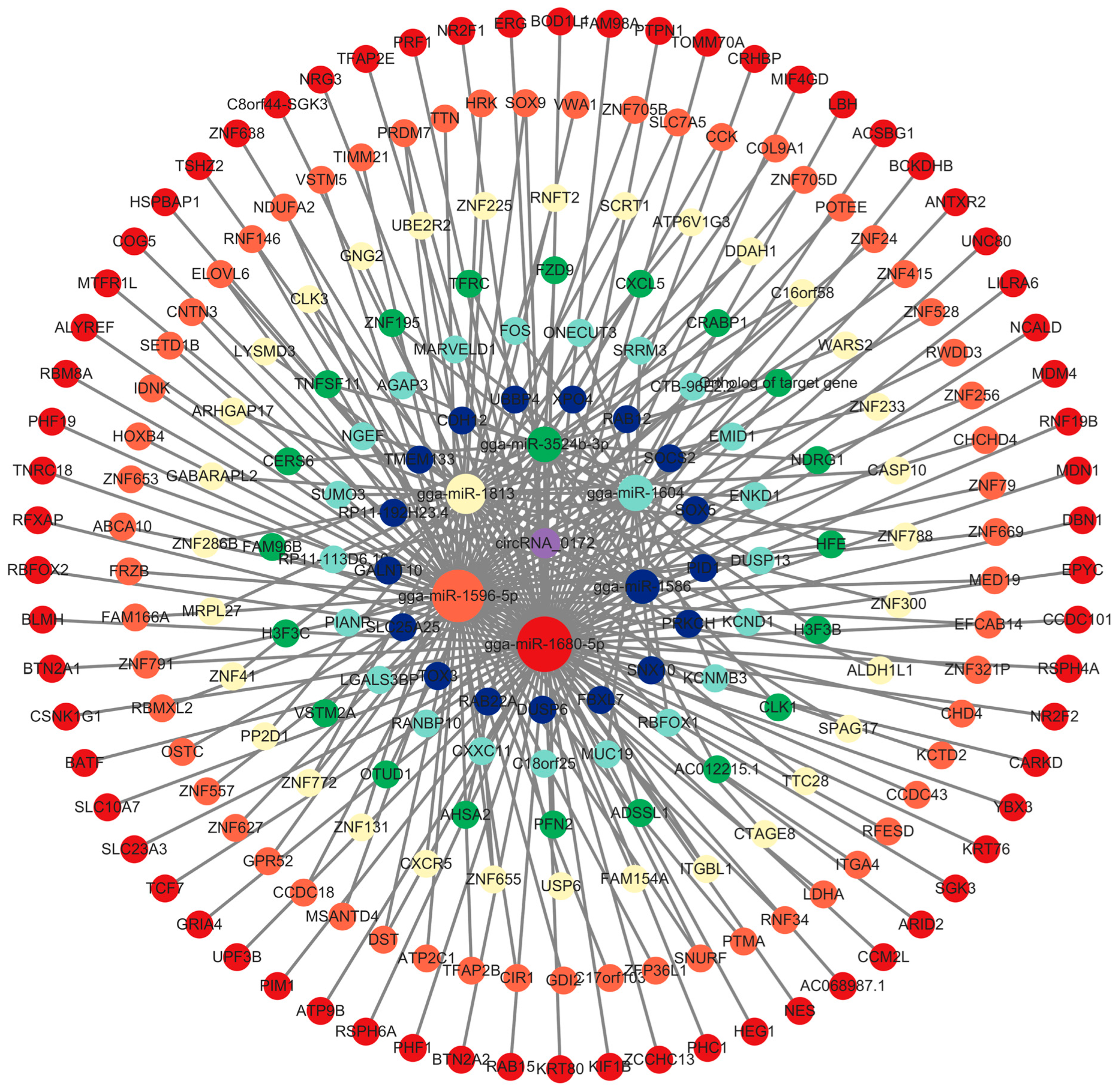 Genes 16 01282 g003 Genes 16 01282 g003