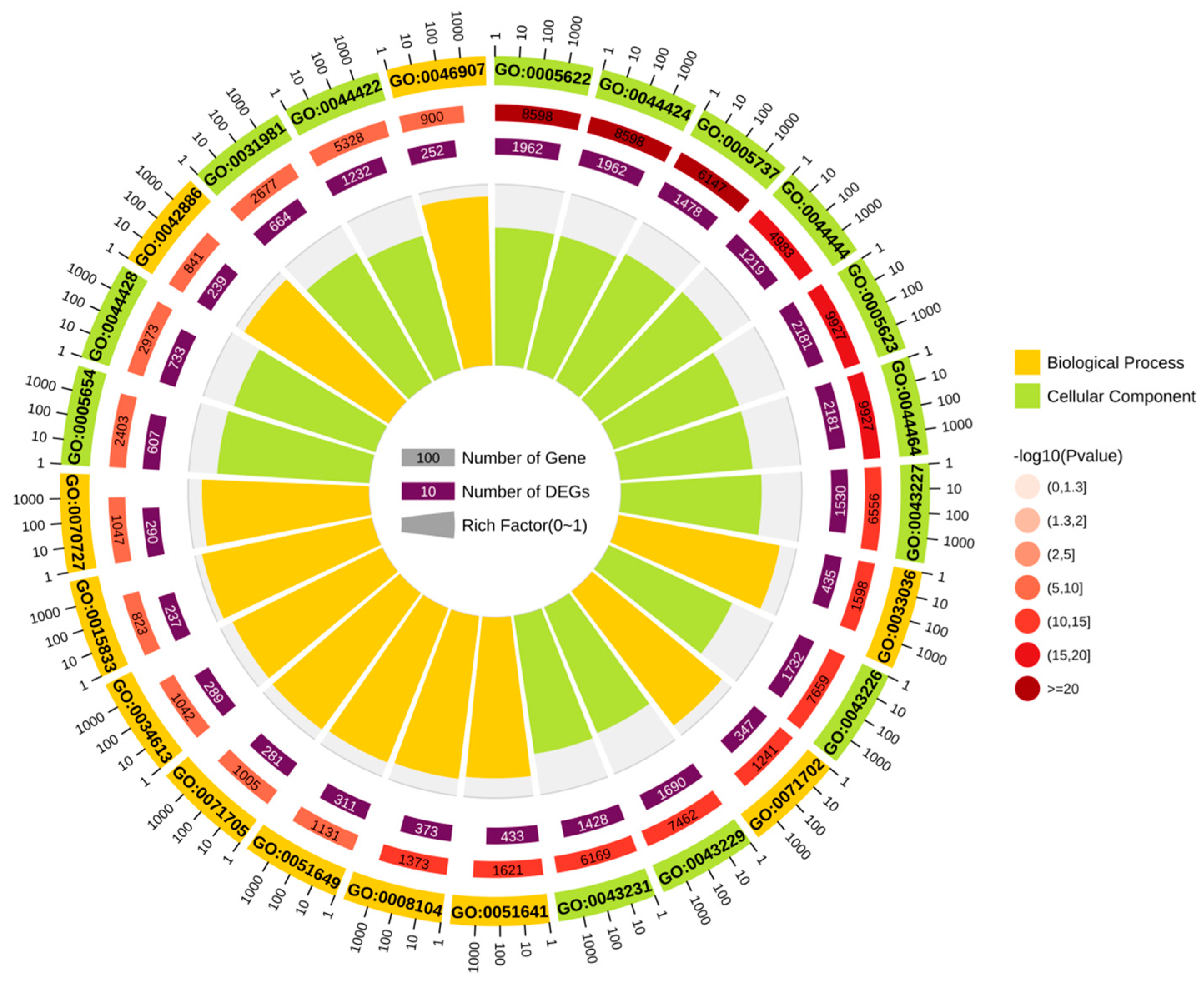 Genes 16 01282 g005 Genes 16 01282 g005