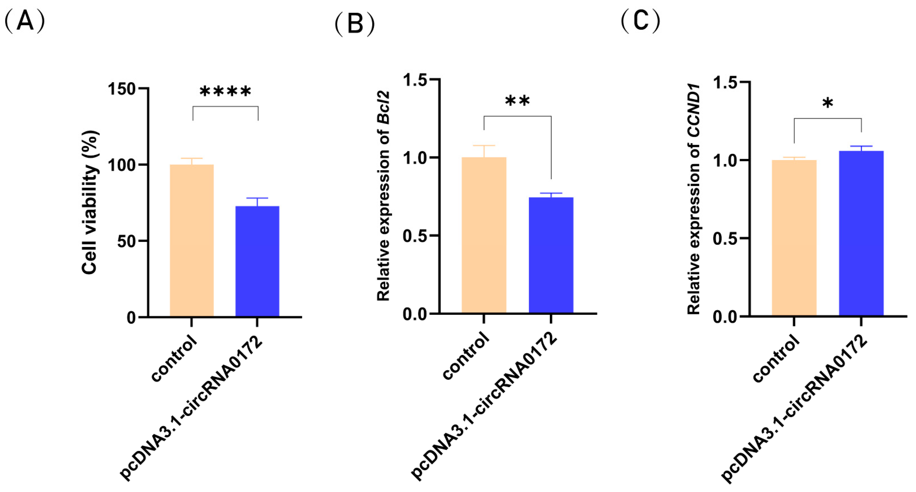 Genes 16 01282 g007 Genes 16 01282 g007
