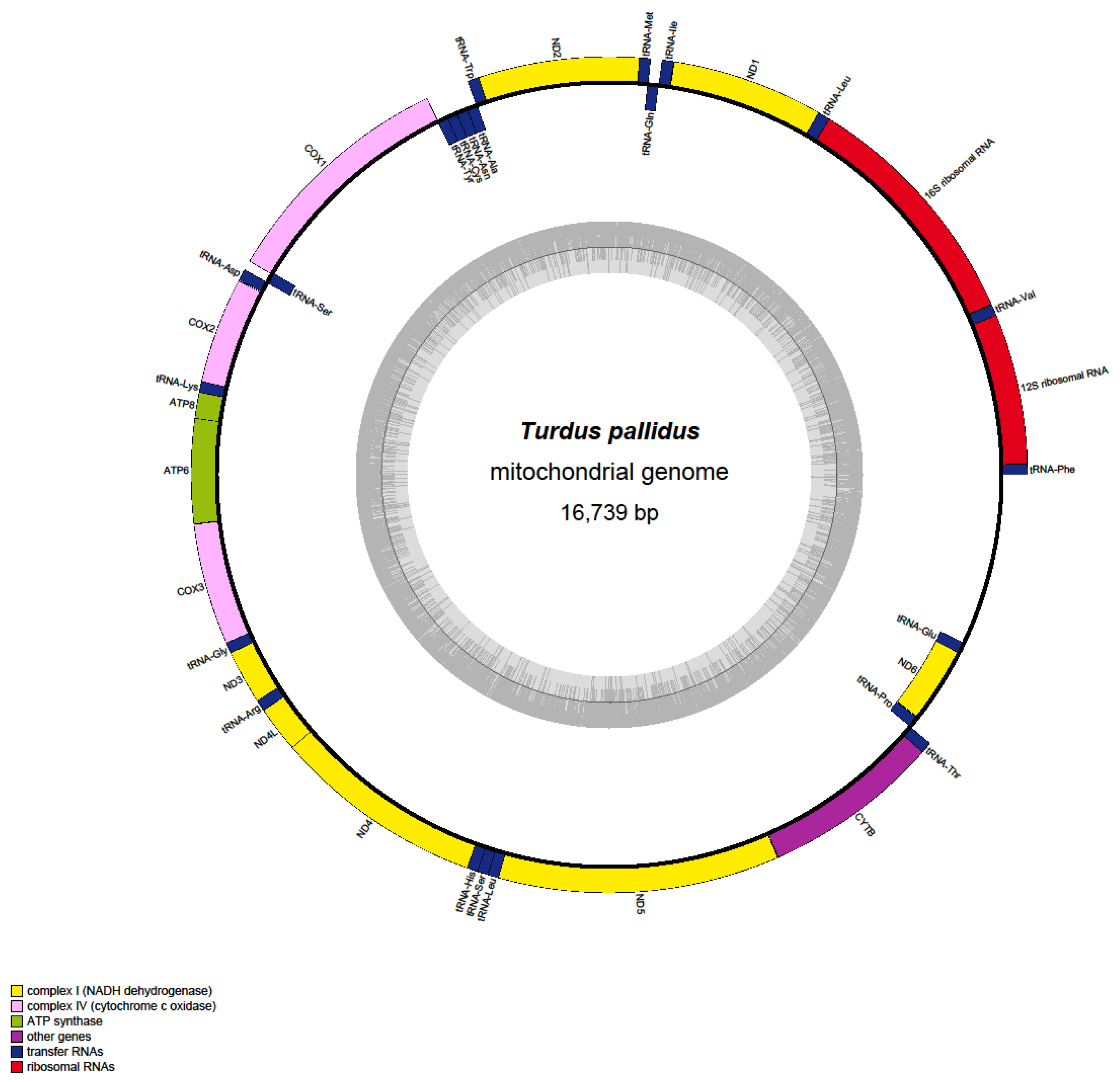Genes 16 01284 g001 Genes 16 01284 g001